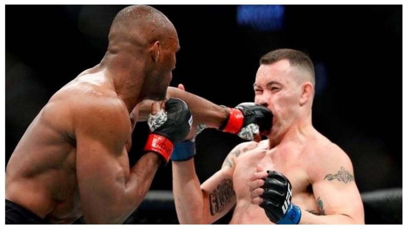 UFC 桌布 壁紙 — 兩位肌肉發達的拳手在籠中激烈交鋒，其中一人在激烈的MMA比賽中向對手臉上重重揮出一拳。