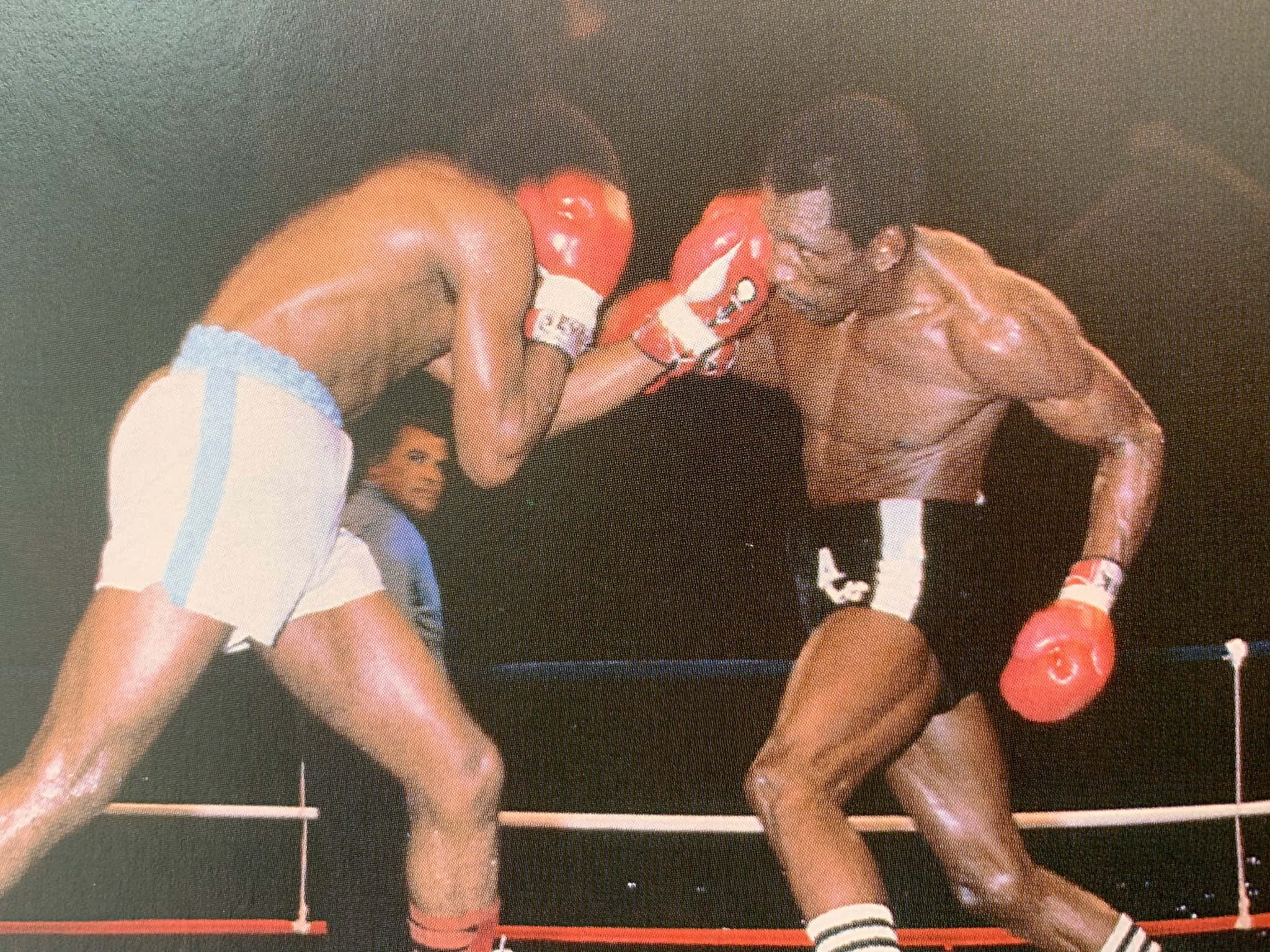 Boxing 桌布 壁紙 — 兩位肌肉發達的拳擊手在緊張的擂台時刻交鋒，汗水在明亮的燈光下閃閃發光。