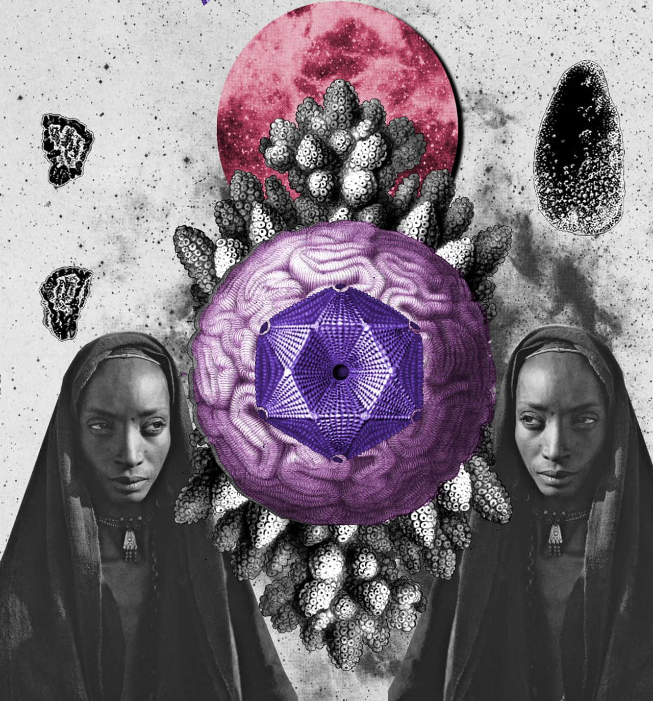 Afrofuturism 桌布 壁紙 — 兩位莊嚴的女性在粉紅月亮下，在抽象有機形態中，夾著一個超現實的紫色幾何大腦。