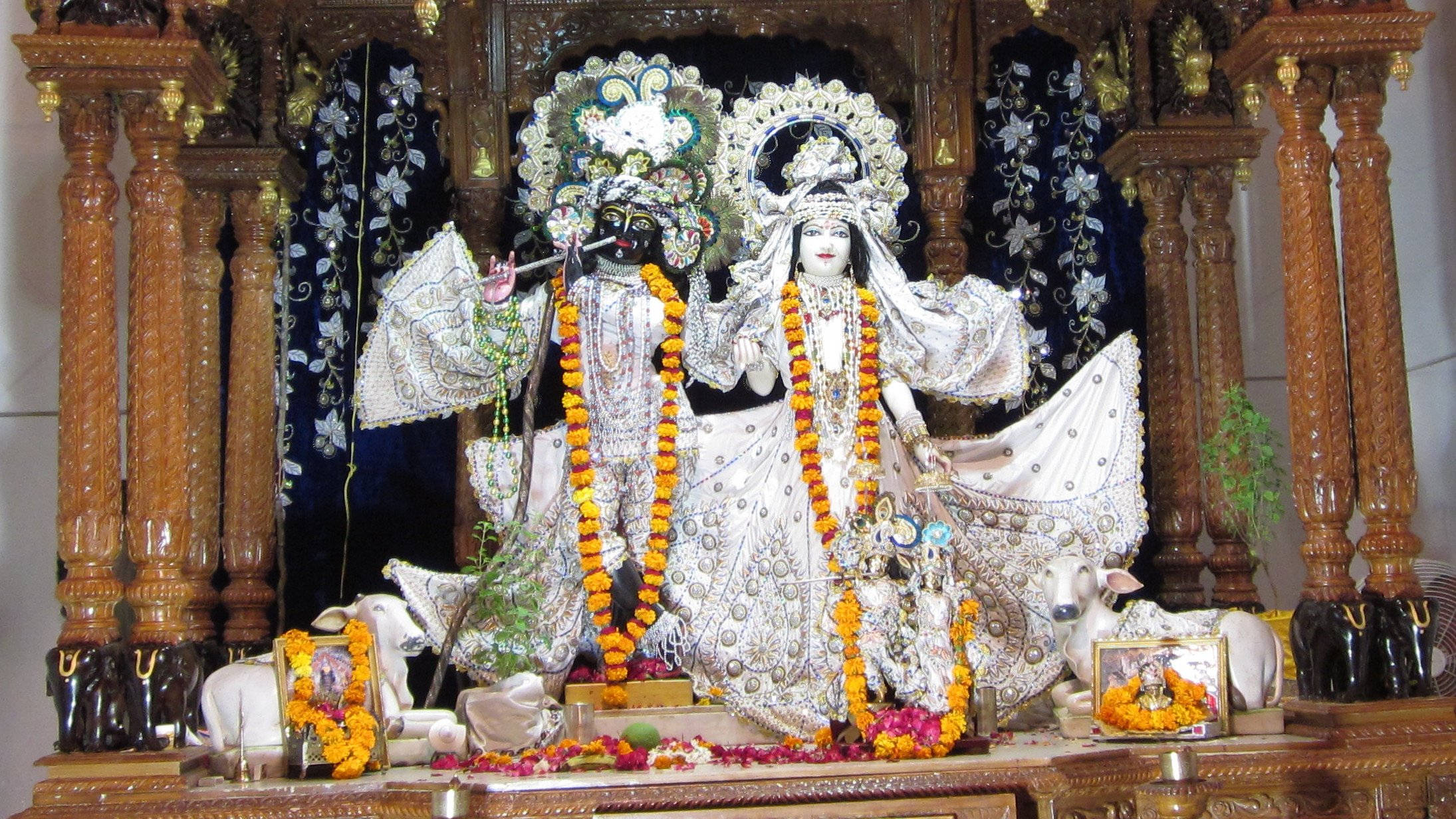 krishna bhagwan 桌布 壁紙 — 兩位裝飾華麗的印度教神祇，佩戴著銀色和金盞花花環，坐在雕刻精美的木製祭壇上，腳邊有白色的羊。