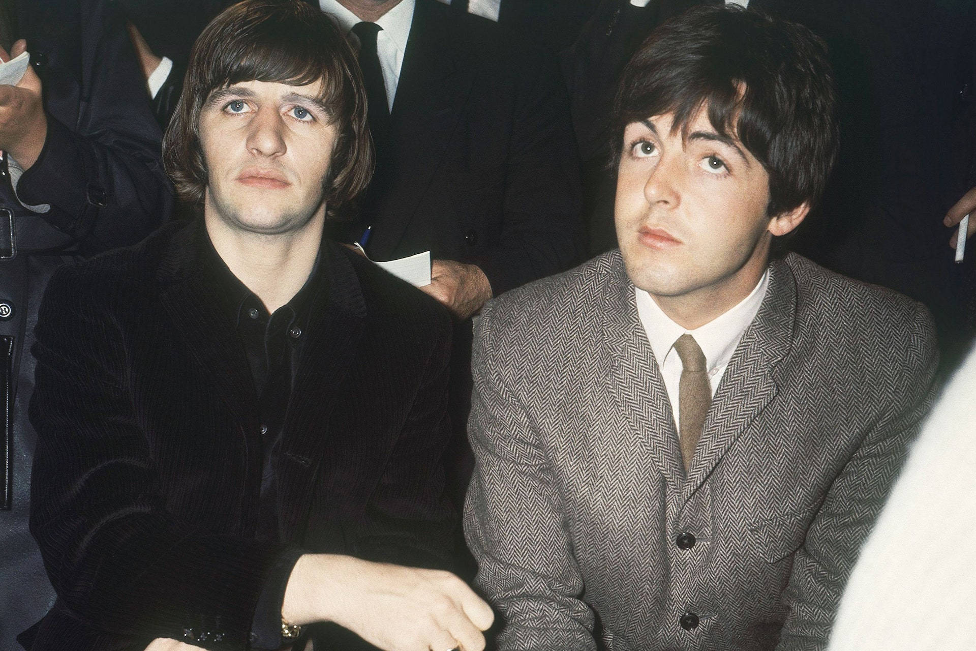 Celebrity 桌布 壁紙 — 兩位身穿1960年代西裝的男子並排而坐，在一張自然照片中向前看。