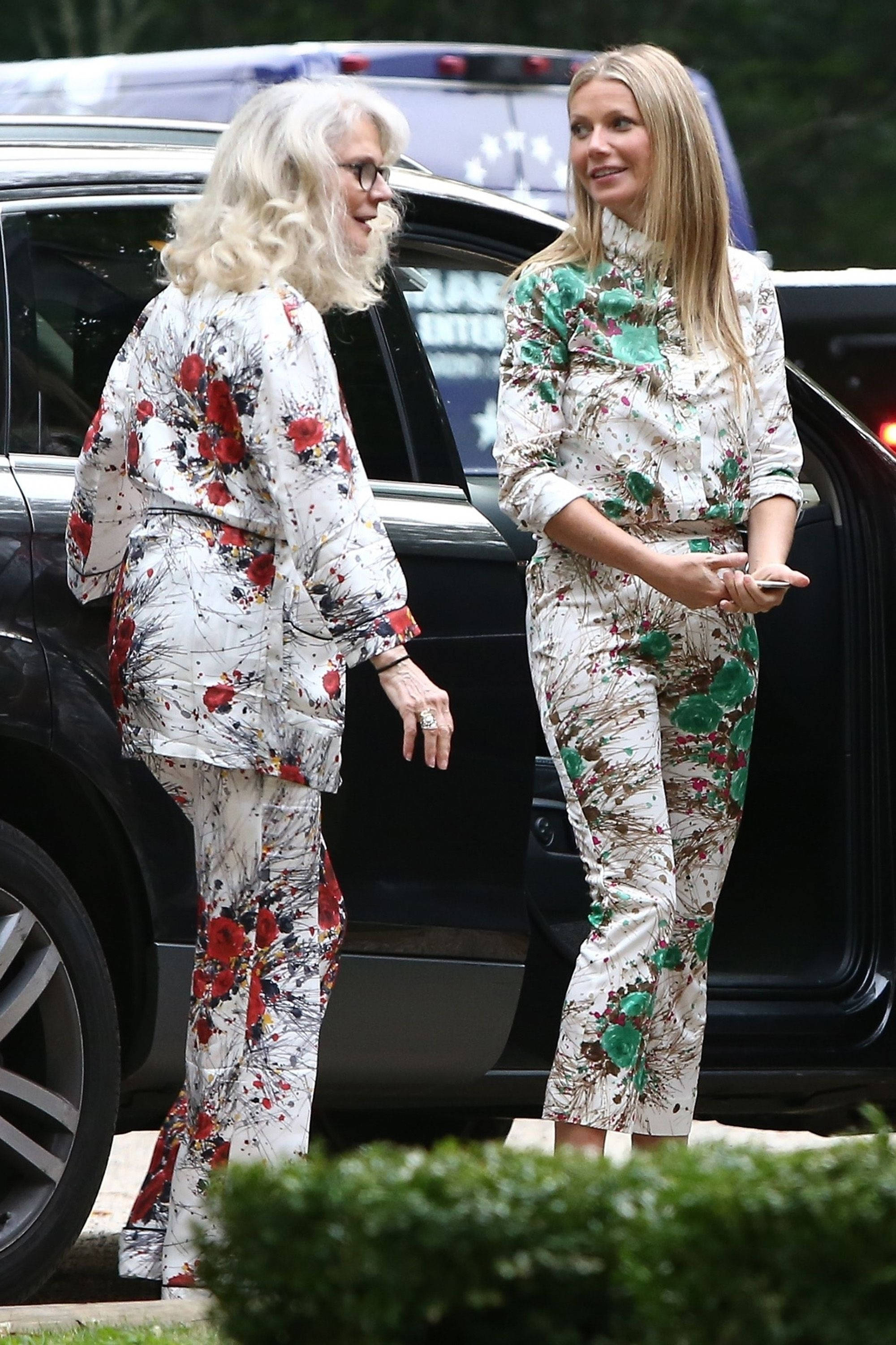 Celebrity 桌布 壁紙 — 兩位身穿大膽花卉圖案西裝的女性站在一輛黑色汽車旁，前景有綠色灌木叢。
