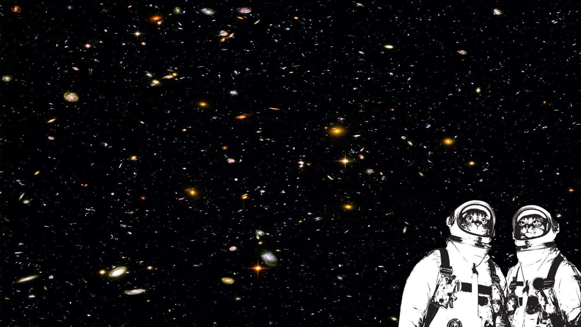 可愛貓咪 桌布 壁紙 — 兩位身穿白色太空衣的太空人仰望充滿閃爍星系和星空的廣闊宇宙。
