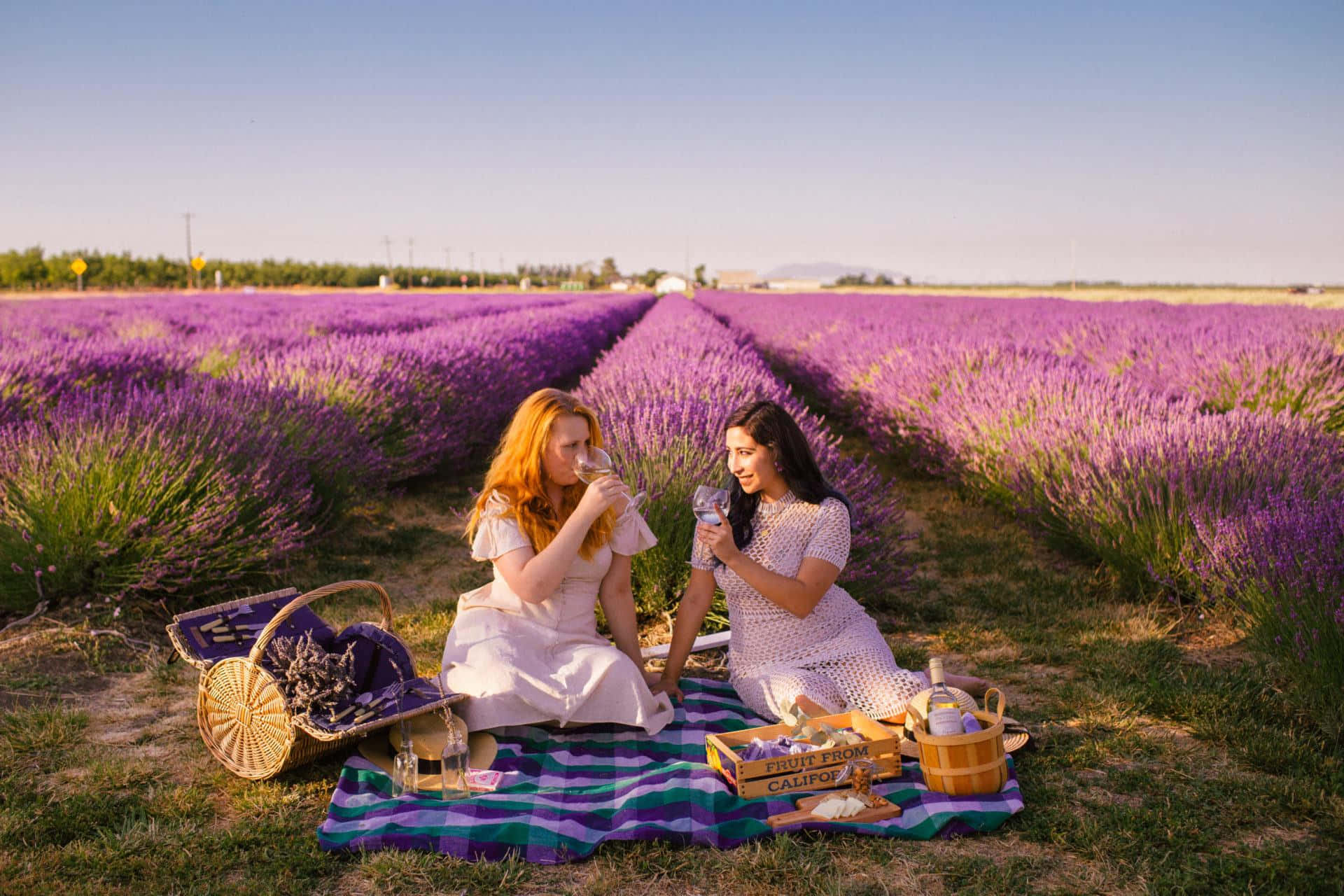 Lavender Field 桌布 壁紙 — 兩位身穿白色連衣裙的女性在藍天白雲下，在無盡盛開的薰衣草田間的條紋毯上享用美酒。