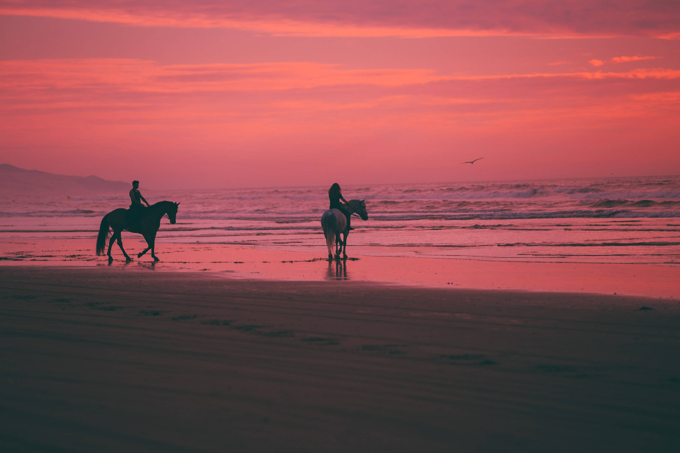 Panama 桌布 壁紙 — 兩位騎手騎著馬沿著海灘漫步，夕陽西下，粉紅色和橙色的天空映照在濕沙上。