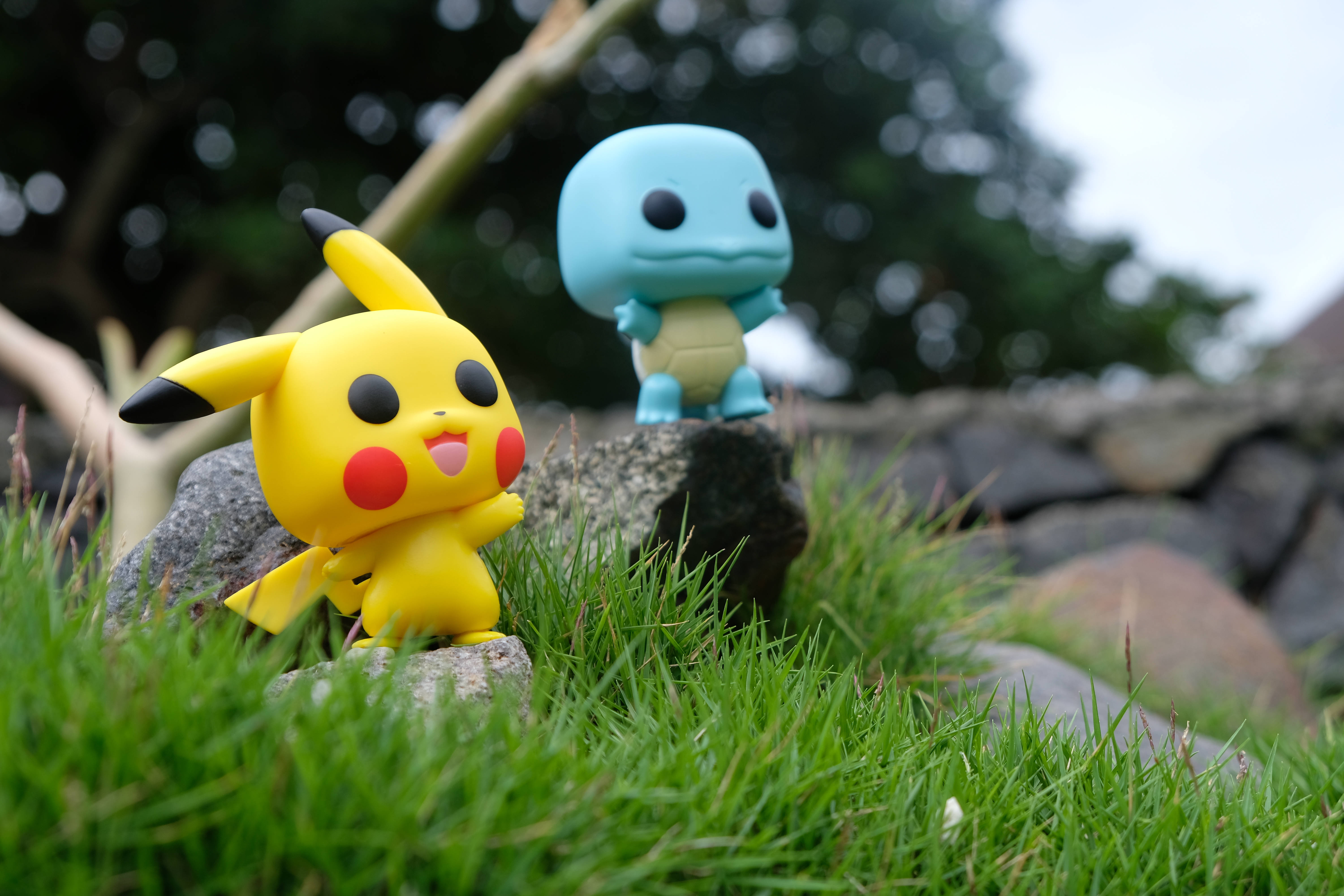 皮卡丘 桌布 壁紙 — 兩個 Funko Pop 風格的寶可夢公仔皮卡丘和傑尼龜坐在草地上石頭上，背景有模糊的樹木。