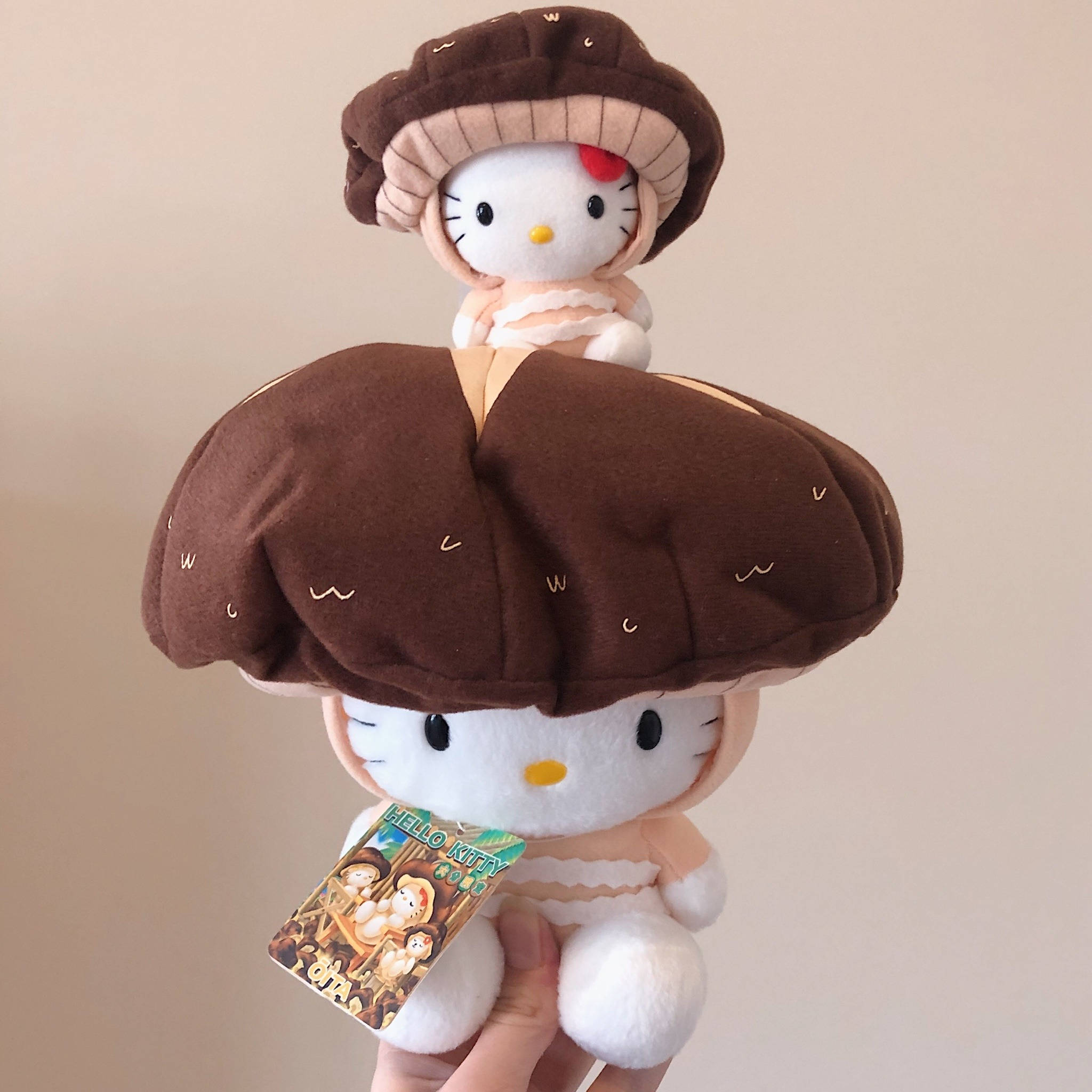 Hello 桌布 壁紙 — 兩個Hello Kitty毛絨玩偶打扮成蘑菇，戴著棕色帽子和蜜桃色飾邊，握在手中。