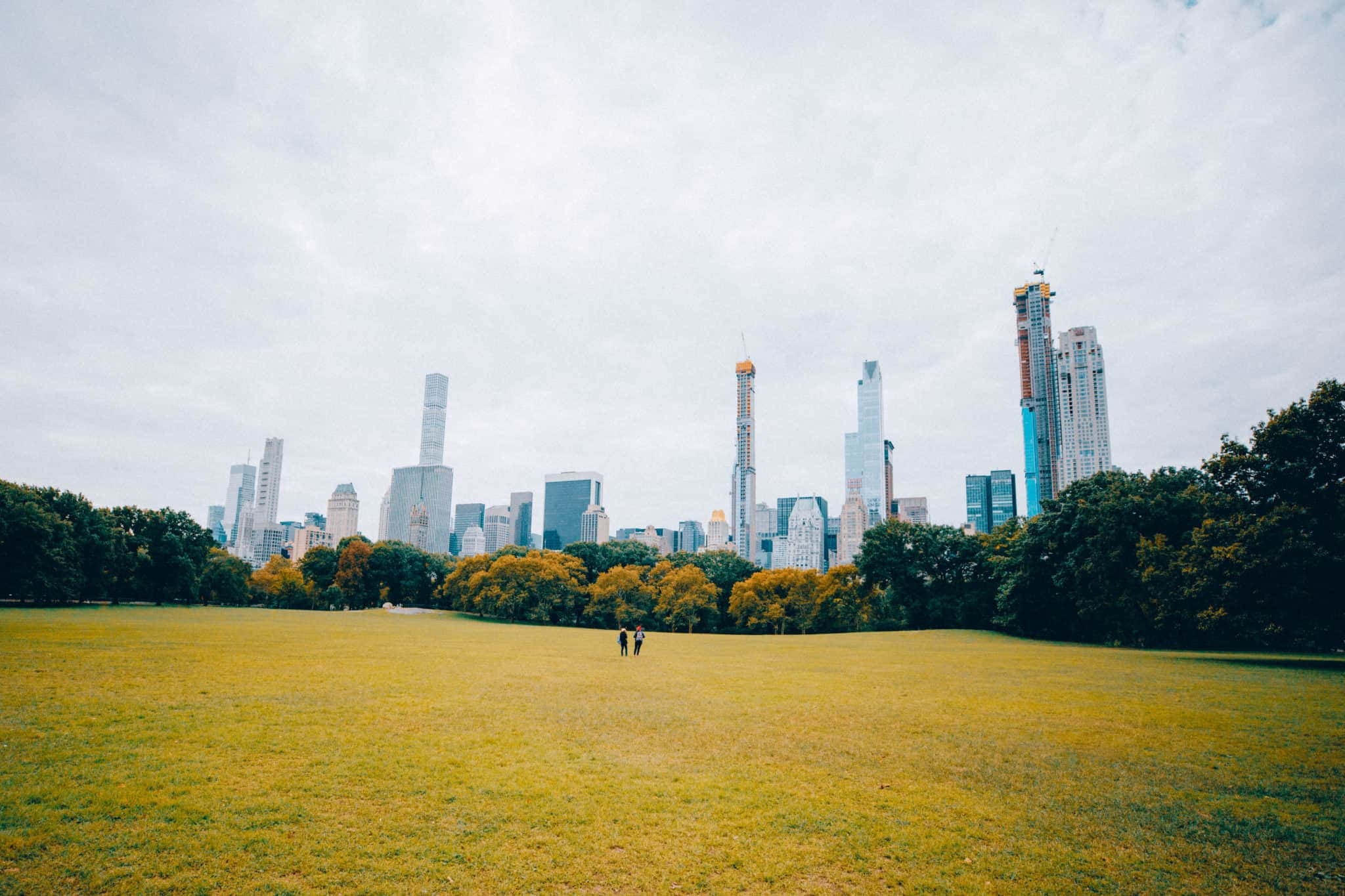 New York City Landscape 桌布 壁紙 — 兩個人在一片廣闊的金色草地上散步，草地邊緣有樹木，陰沉的遠方聳立著高聳的城市天際線。