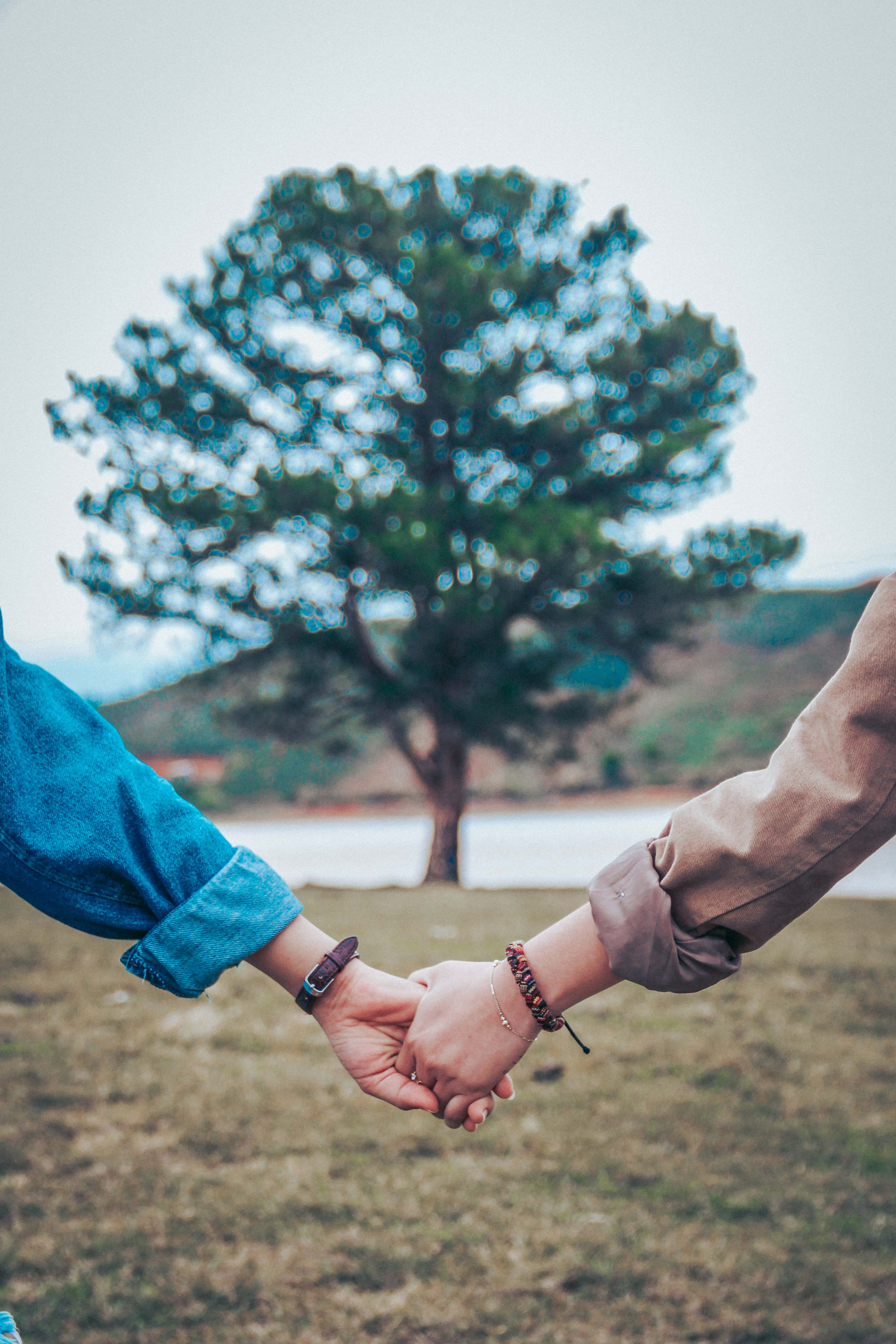 Relationship 桌布 壁紙 — 兩個人在一片草地上手牽手，草地上有一棵大樹和遠處的山丘，天空多雲。