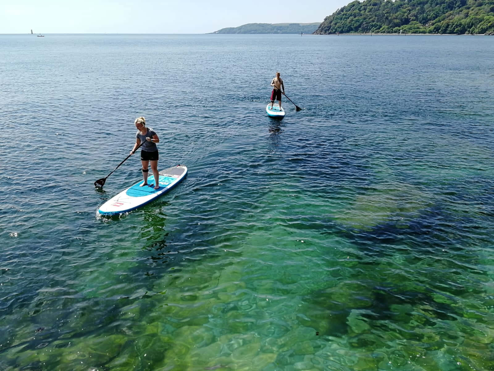 Paddleboarding 桌布 壁紙 — 兩個人在平靜的碧綠海水上划槳板，遠處是森林覆蓋的海岸線，陽光明媚。
