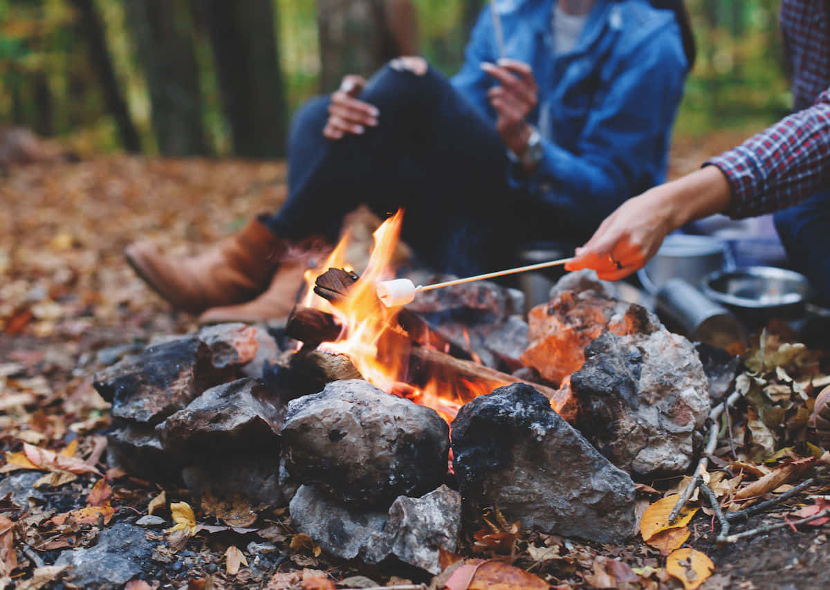 Fall Camping 桌布 壁紙 — 兩個人在森林中落葉圍繞的噼啪作響營火上烤棉花糖。