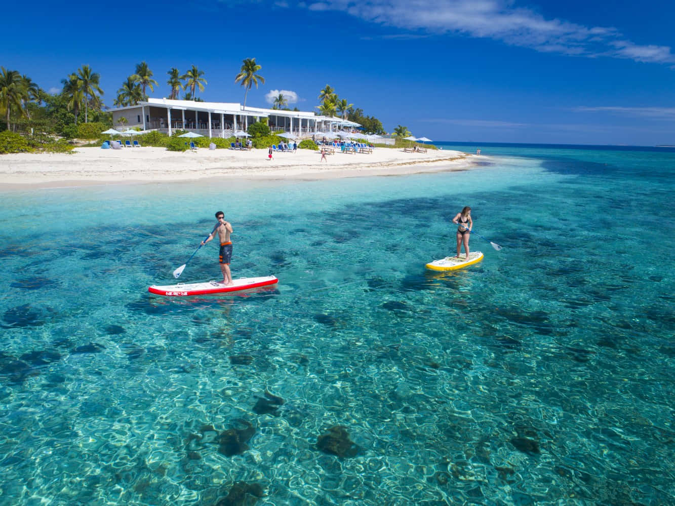 Fiji Beach 桌布 壁紙 — 兩個人在水晶般清澈的碧綠海水上划槳板，靠近一個有棕櫚樹和度假村的白沙灘。