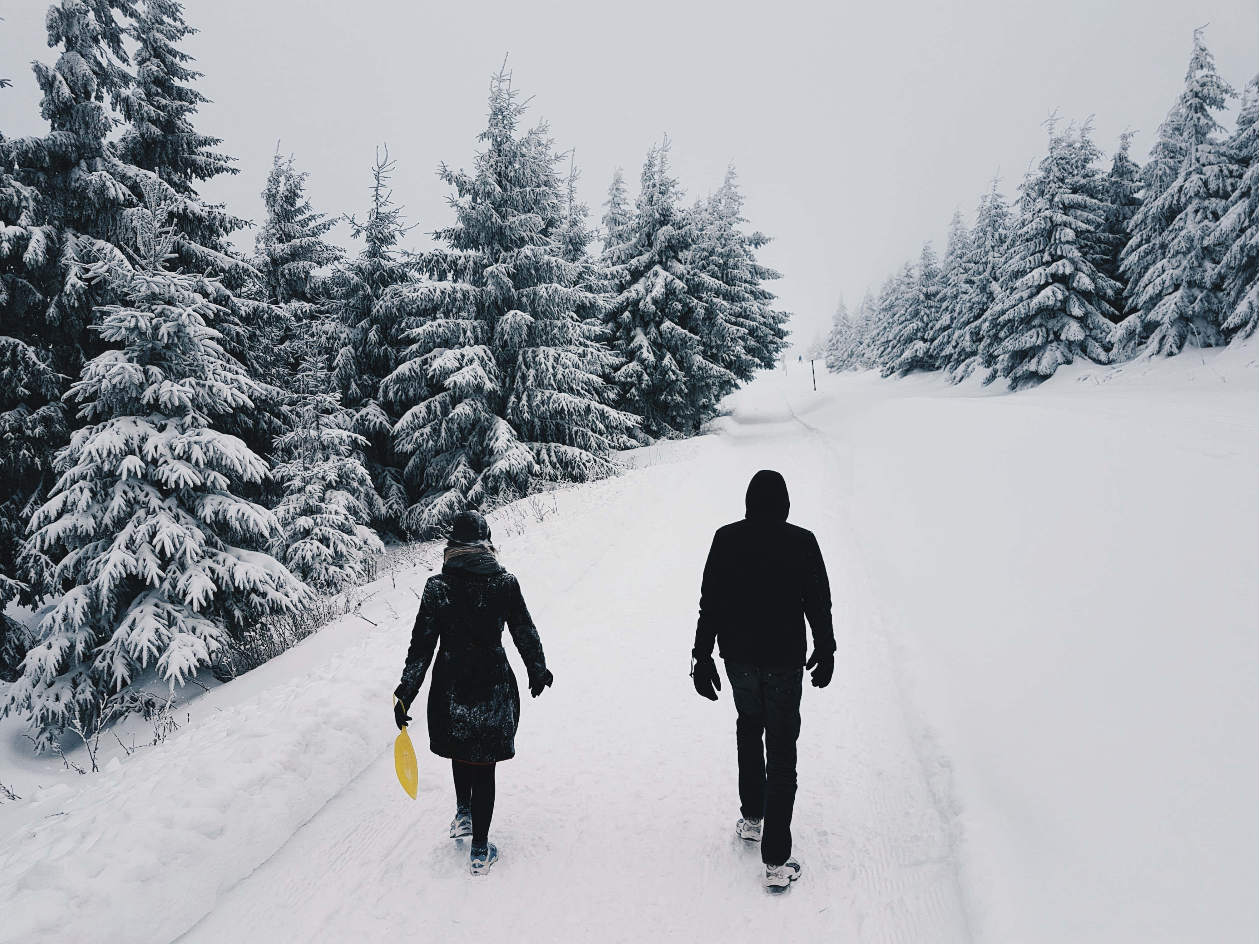 Winter 桌布 壁紙 — 兩個人在陰天之下沿著一條被積雪覆蓋的常青樹環繞的雪徑走遠。