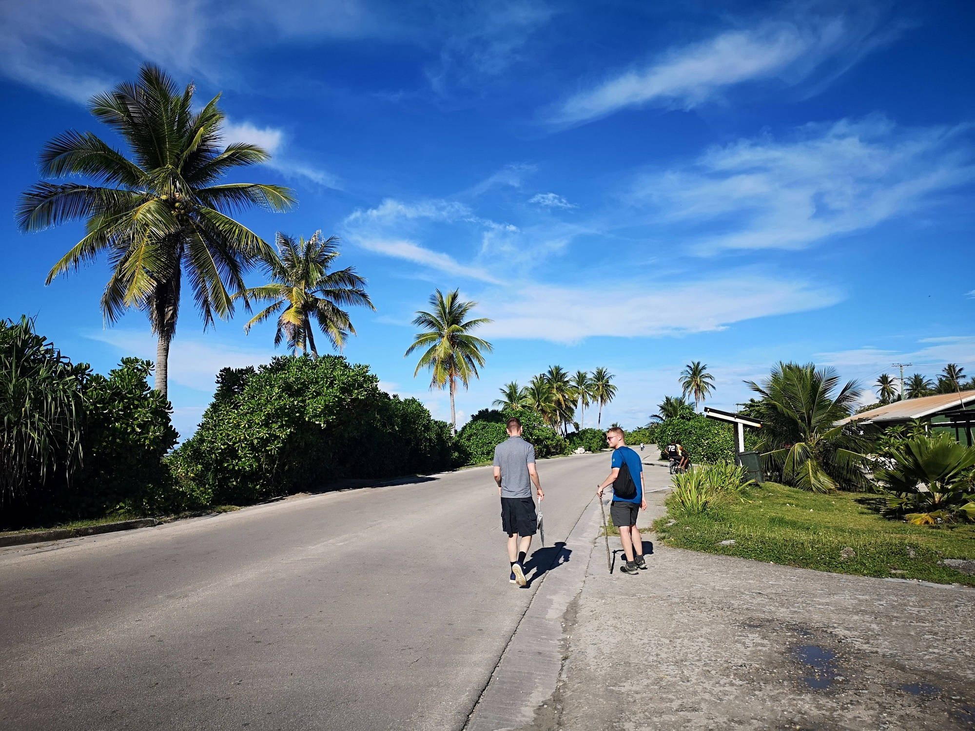 Road 桌布 壁紙 — 兩個人在陽光明媚的熱帶道路上漫步，兩旁種滿棕櫚樹，頭頂是明亮的藍天。