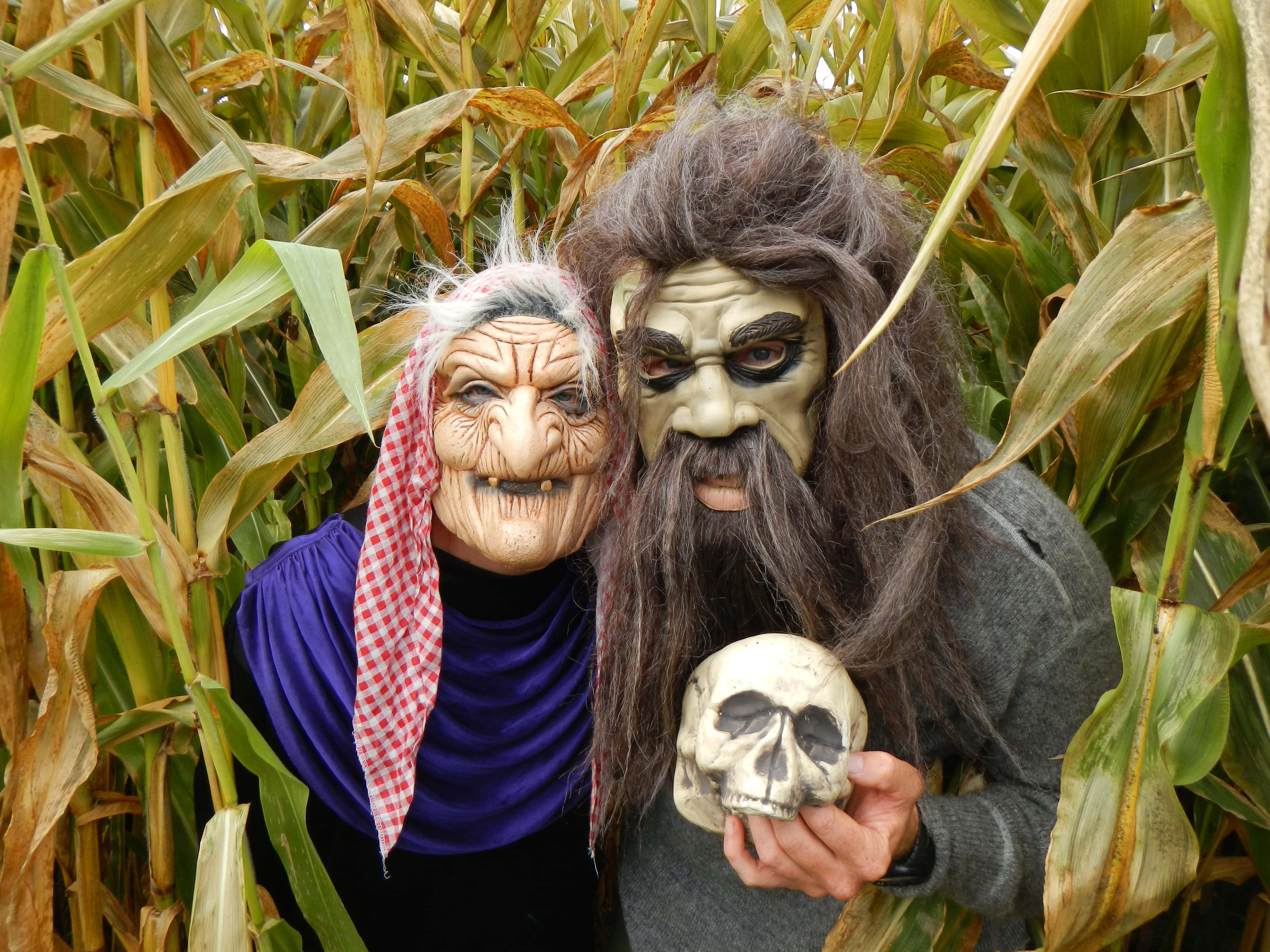Haunted Corn Mazes 桌布 壁紙 — 兩個人戴著詭異的萬聖節面具站在高高的玉米田裡，其中一人拿著一個頭骨。