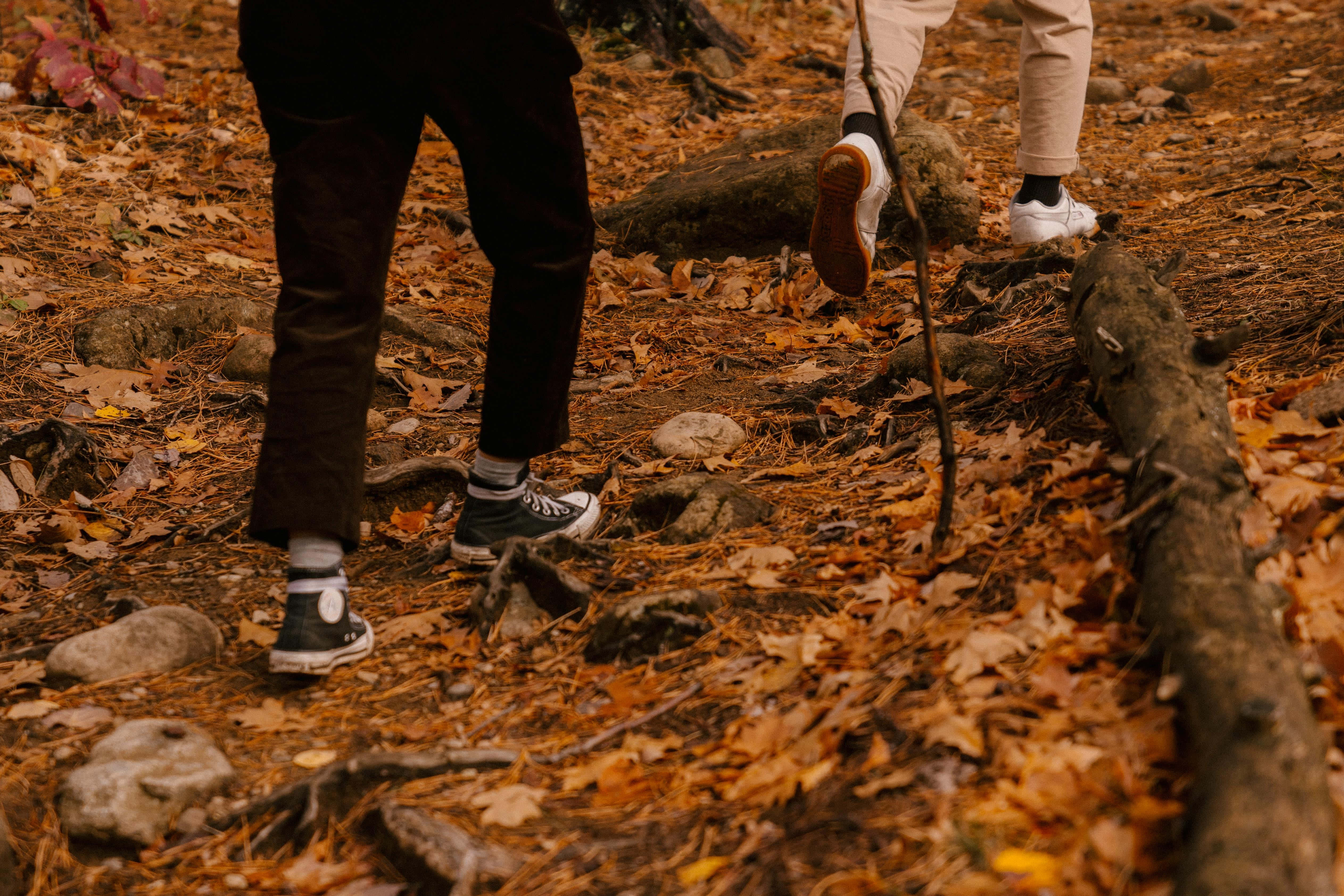 Fall Hikes 桌布 壁紙 — 兩個人穿過鋪滿金色秋葉和散落岩石的森林地面徒步旅行。