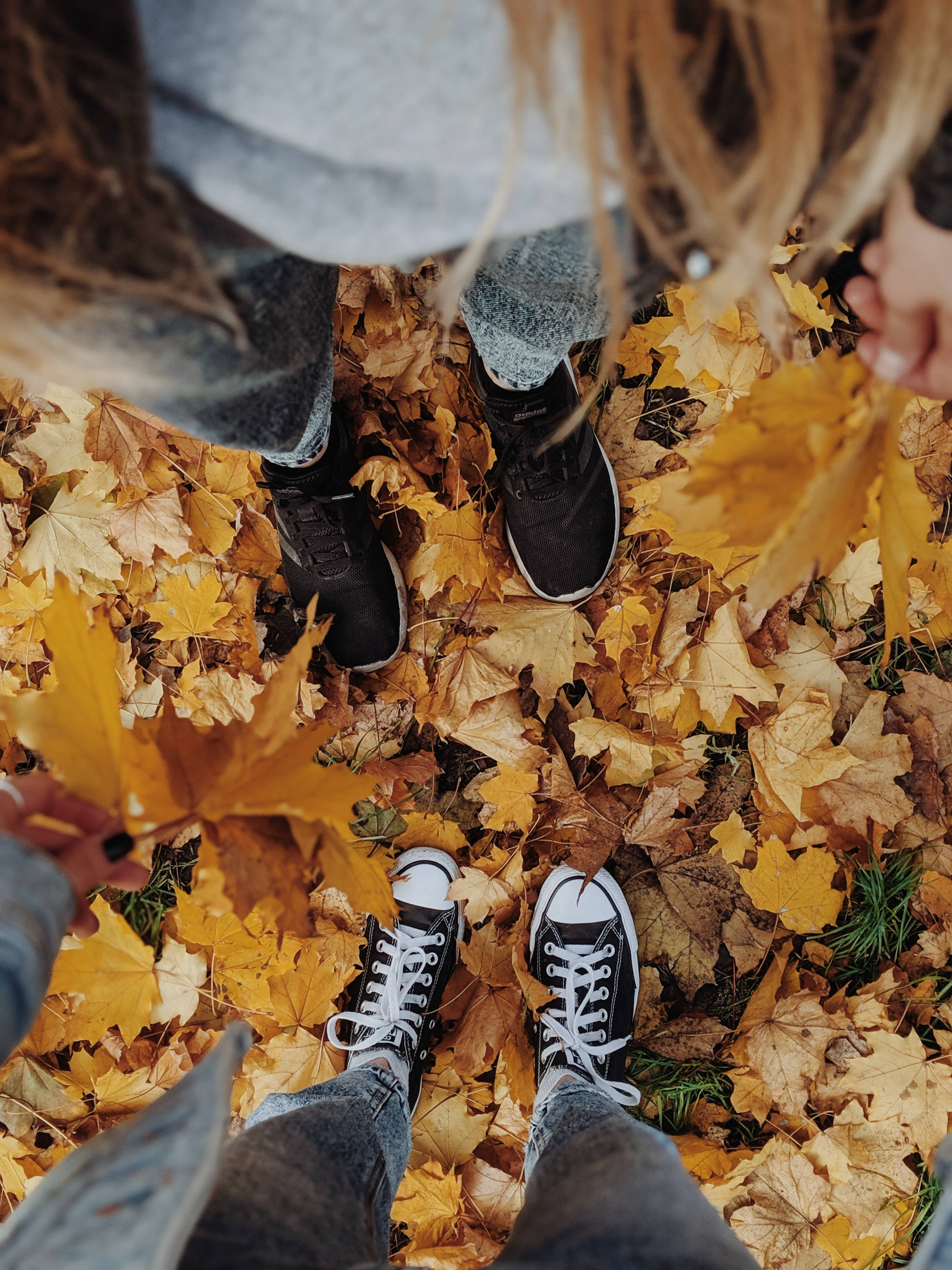 Fall Leaves 桌布 壁紙 — 兩個人站在金色秋葉地毯中，手持落下的楓葉，營造出舒適的戶外場景。