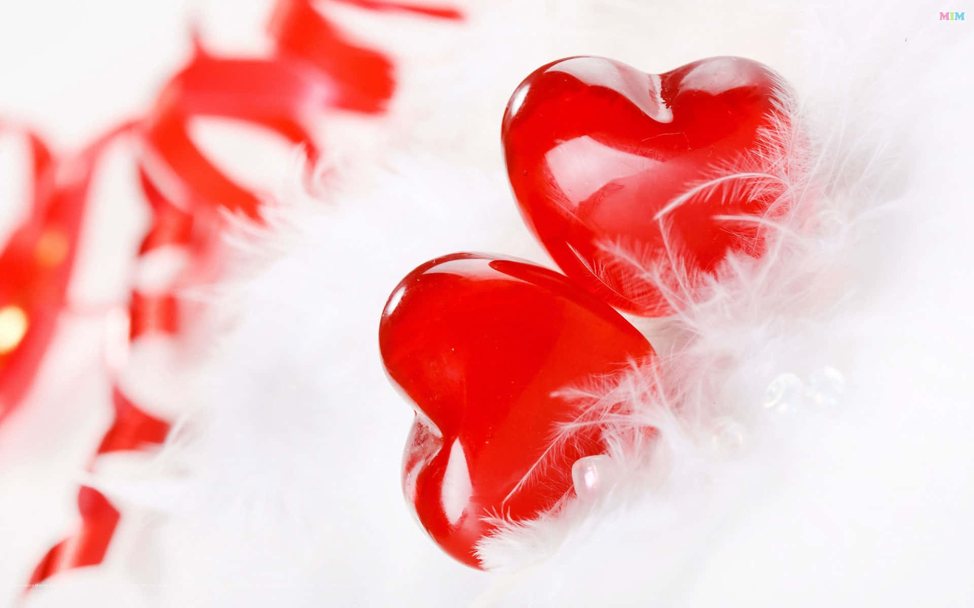 Cute Hearts 桌布 壁紙 — 兩個光滑的紅色心形物體放在柔軟的白色羽毛上，背景有模糊的紅色絲帶。