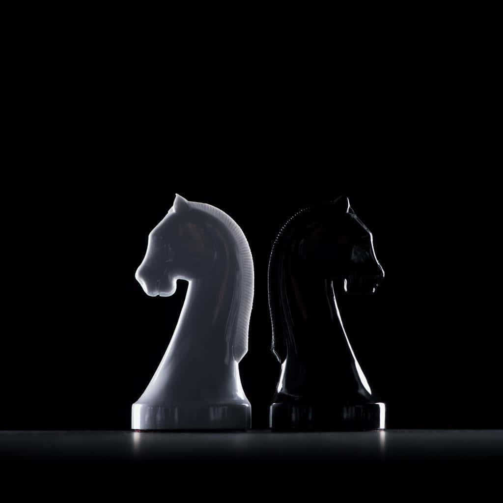 Black And White Chess 桌布 壁紙 — 兩個光澤的西洋棋騎士，一個白色一個黑色，在純黑色背景下，在戲劇性燈光下形成鮮明對比。
