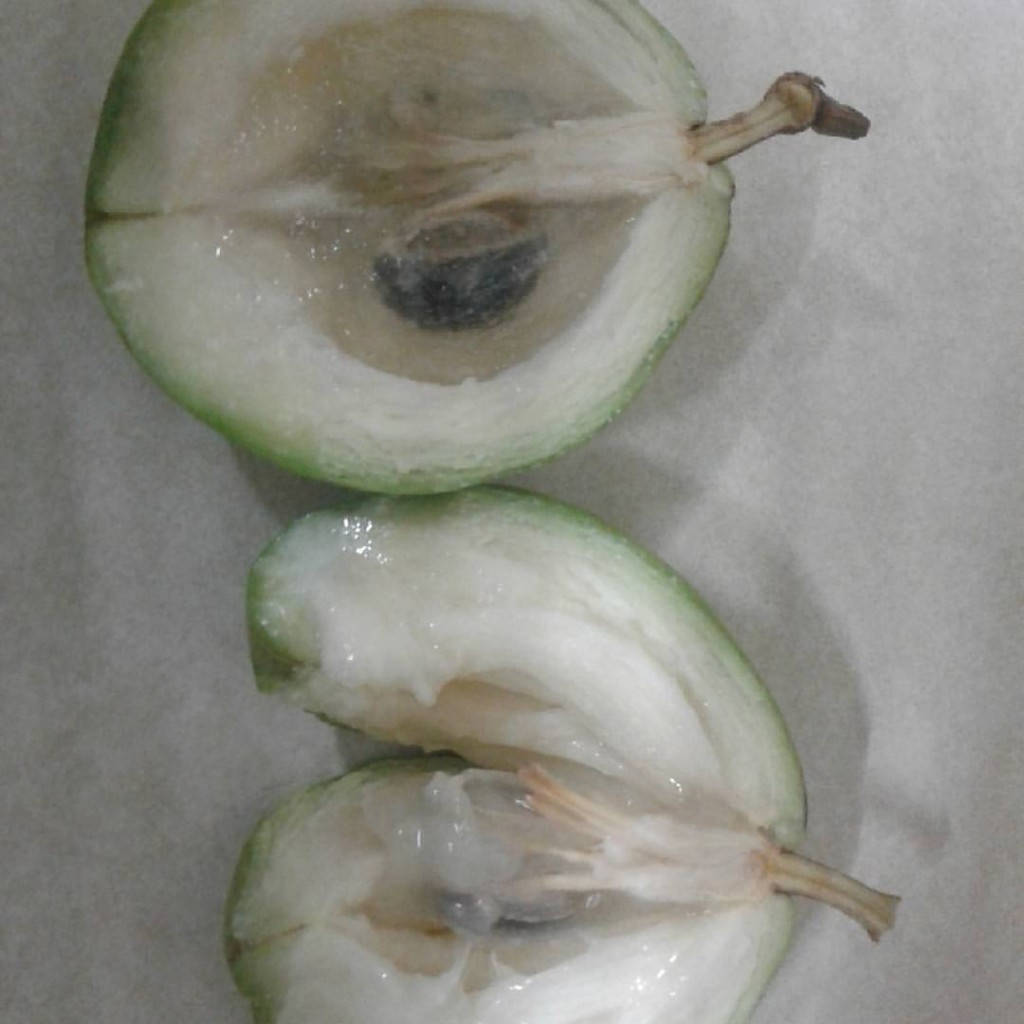 Fruit 桌布 壁紙 — 兩個切開的綠色芭樂果實半邊，露出白色果肉和黑色種子，放在淺灰色表面上。