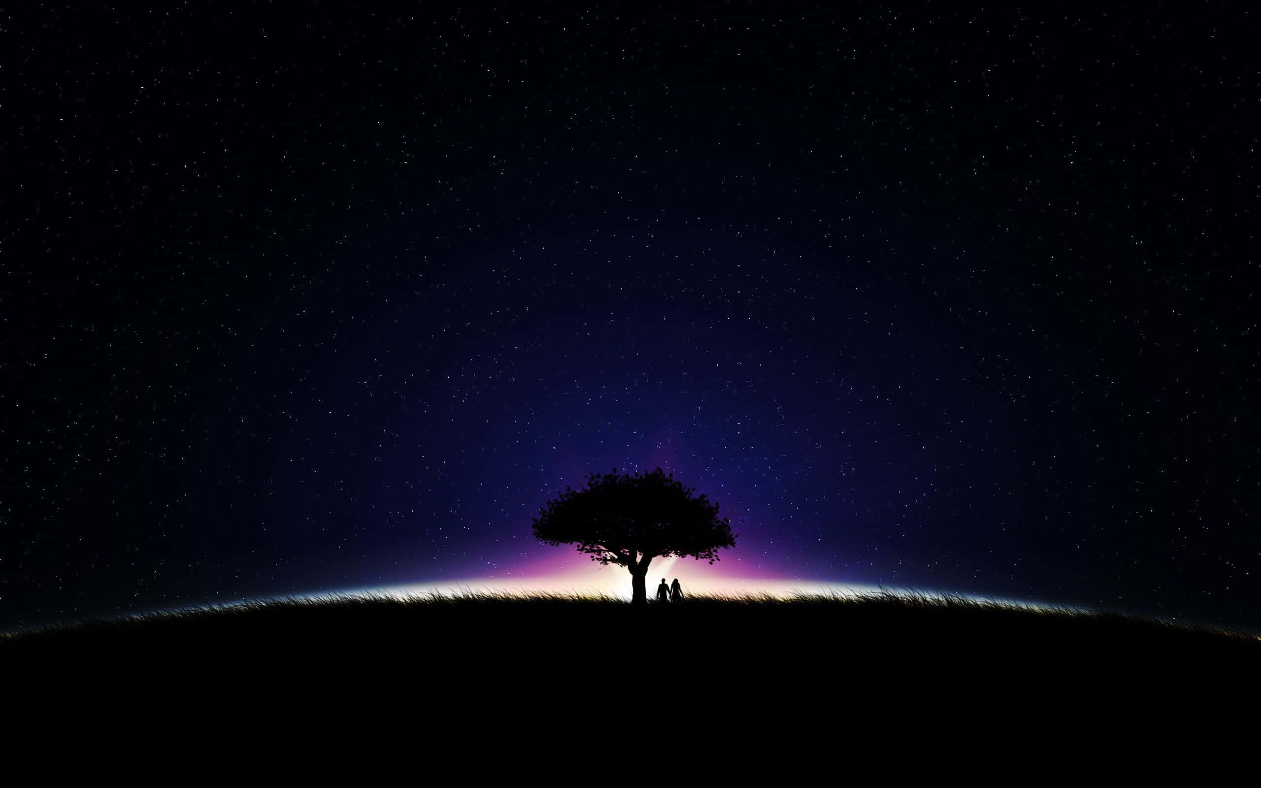 Dark Sky 桌布 壁紙 — 兩個剪影人物站在長滿草的山丘上的一棵孤樹下，頭頂是星光閃爍的暮色天空，散發著紫色極光。