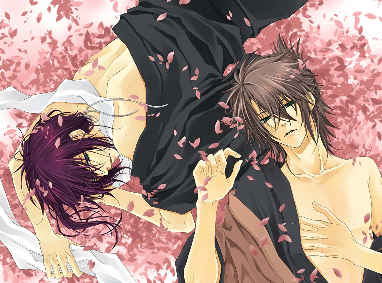 Bl Anime 桌布 壁紙 — 兩個動漫男子在粉紅櫻花雨下纏綿，伴隨著柔和的光芒。