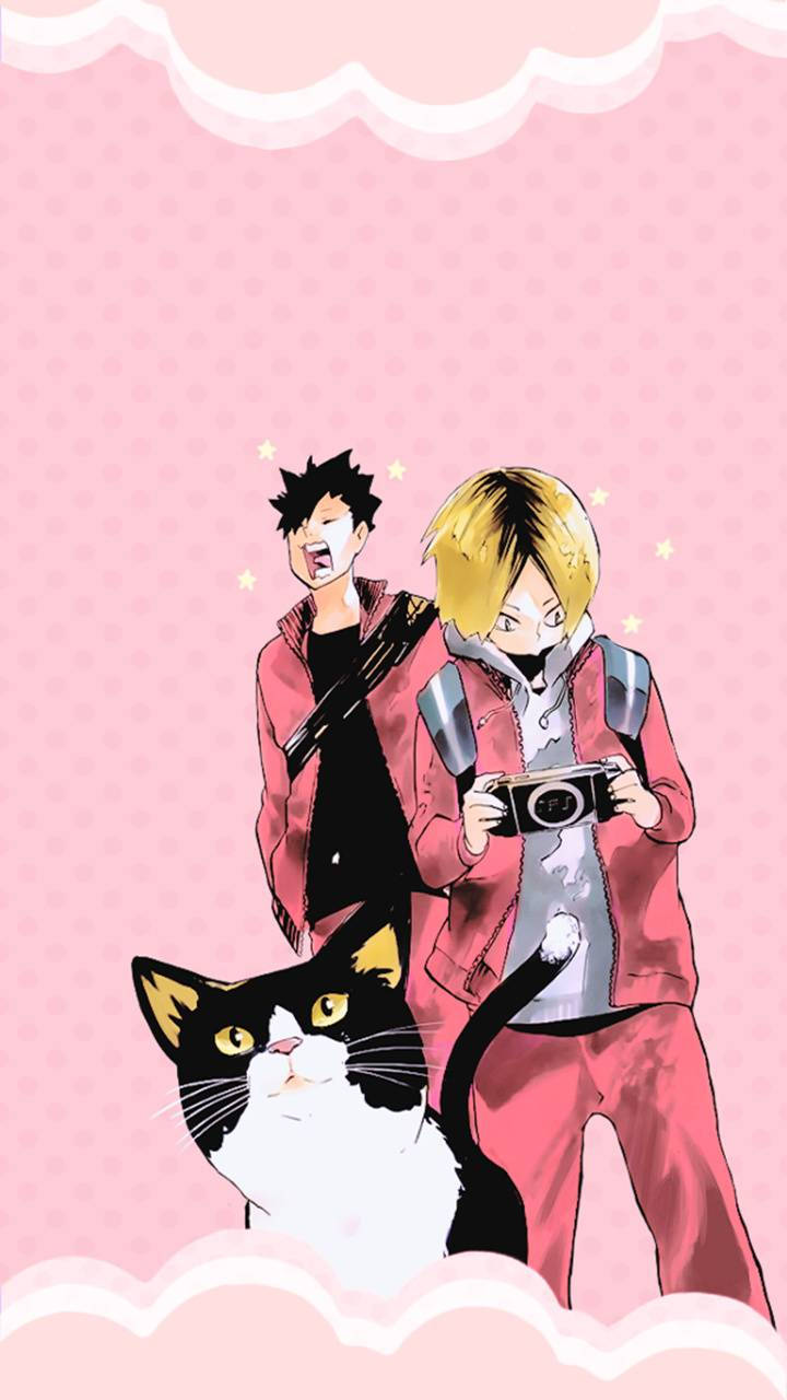 動漫男孩 桌布 壁紙 — 兩個動漫男孩穿著粉紅色服裝，在粉紅色雲朵邊框的背景前與一隻黑白貓咪擺姿勢。