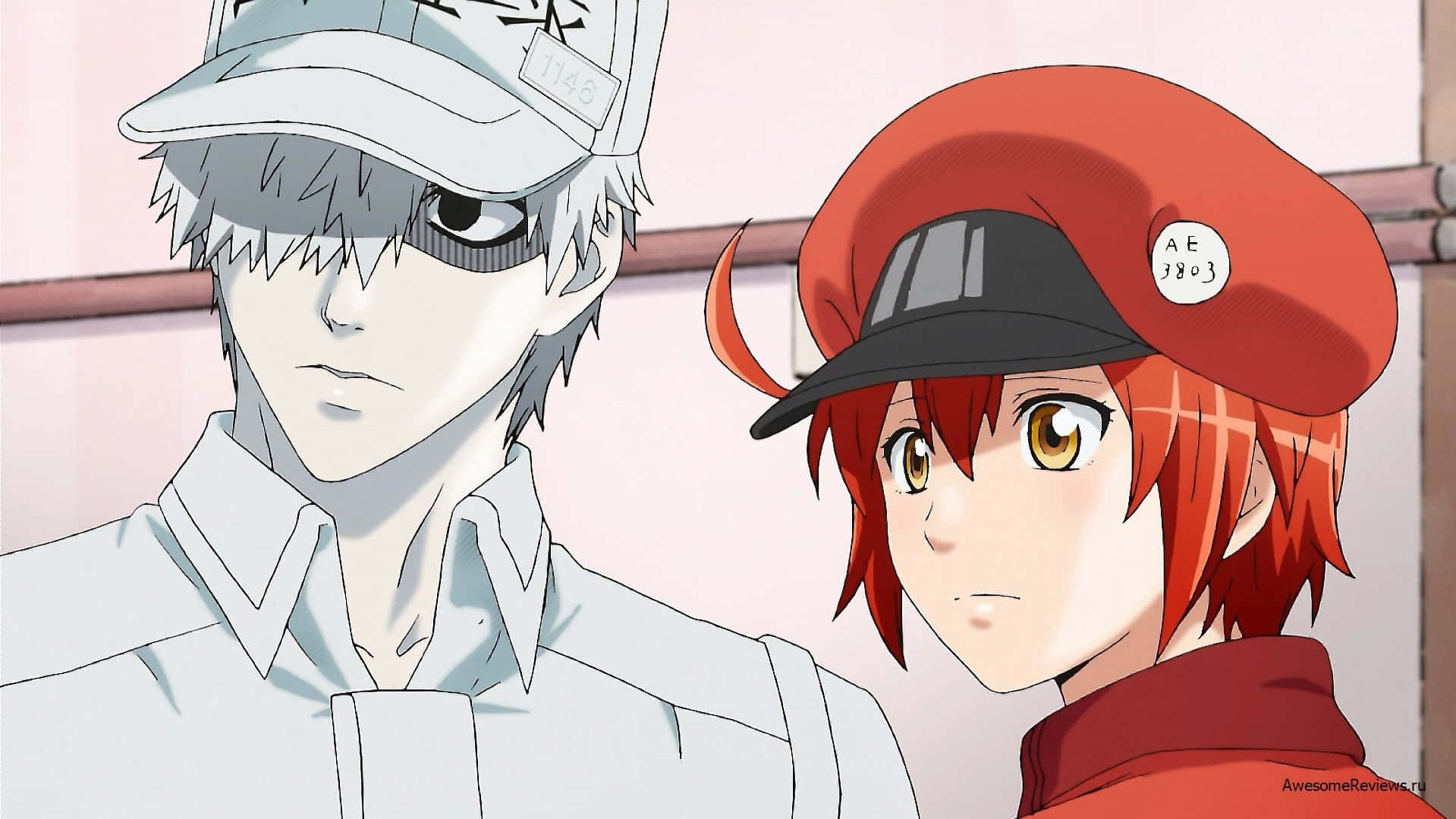 Cells At Work 桌布 壁紙 — 兩個動漫角色，一個銀髮戴帽，另一個紅髮戴貝雷帽，在一個樸素的室內環境中面對面站立。