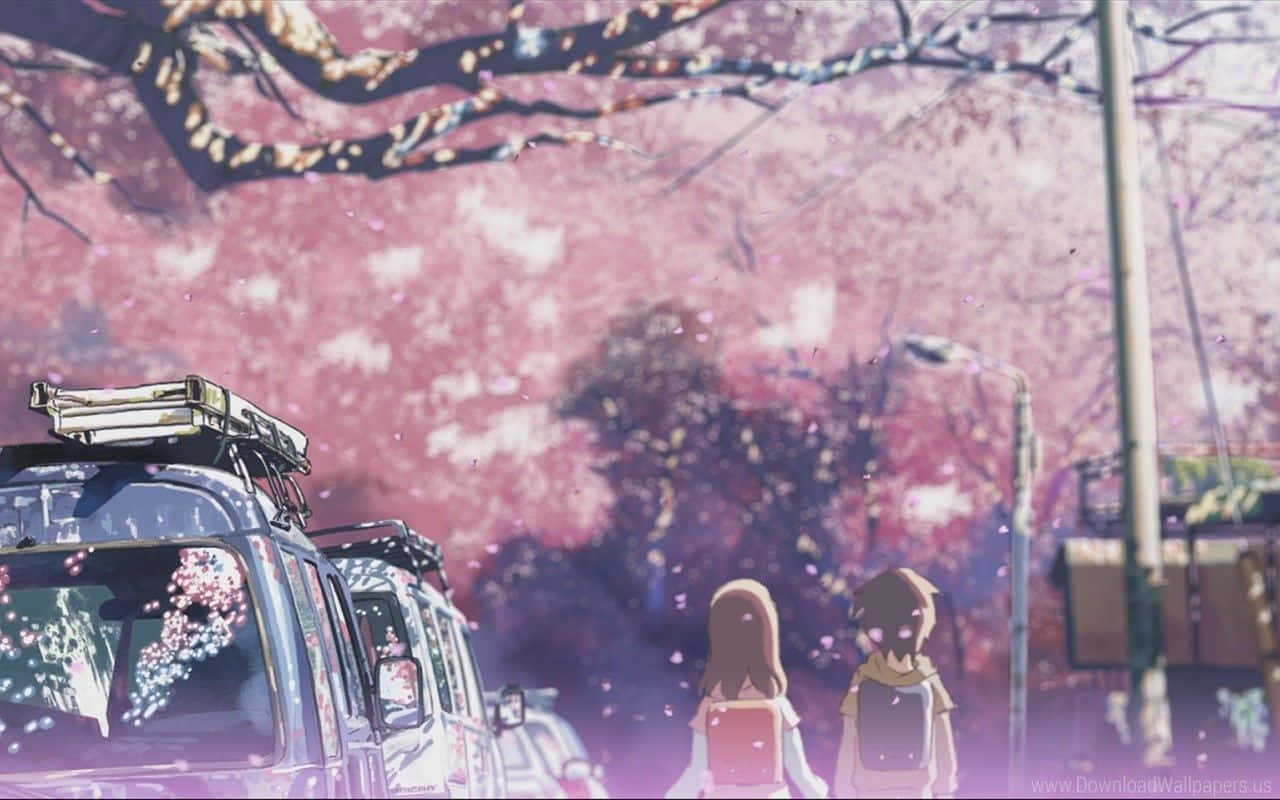 Pink Anime 桌布 壁紙 — 兩個動漫角色在停泊的車輛旁邊，走在飄落粉紅櫻花的花冠下。