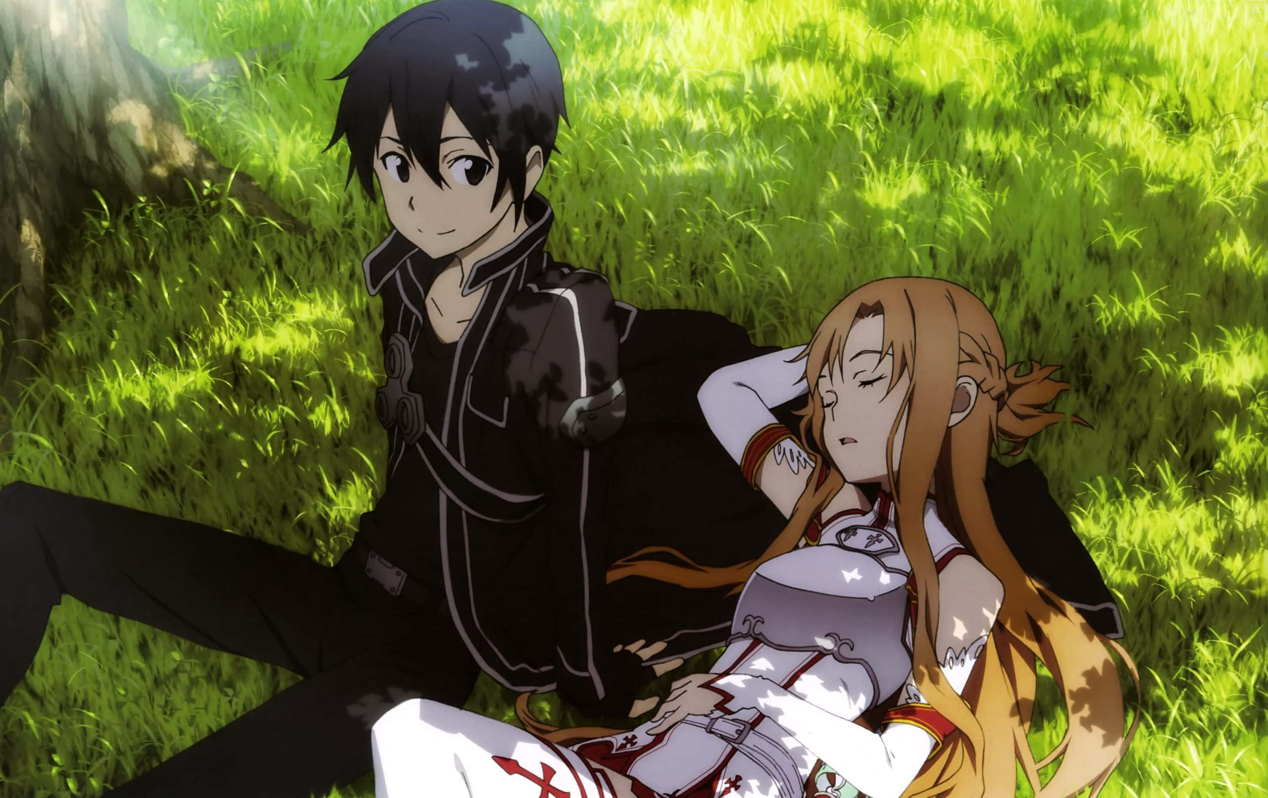 Yuuki Asuna 桌布 壁紙 — 兩個動漫角色在陽光普照的草地上放鬆，一個警覺地坐著，另一個安詳地睡著。