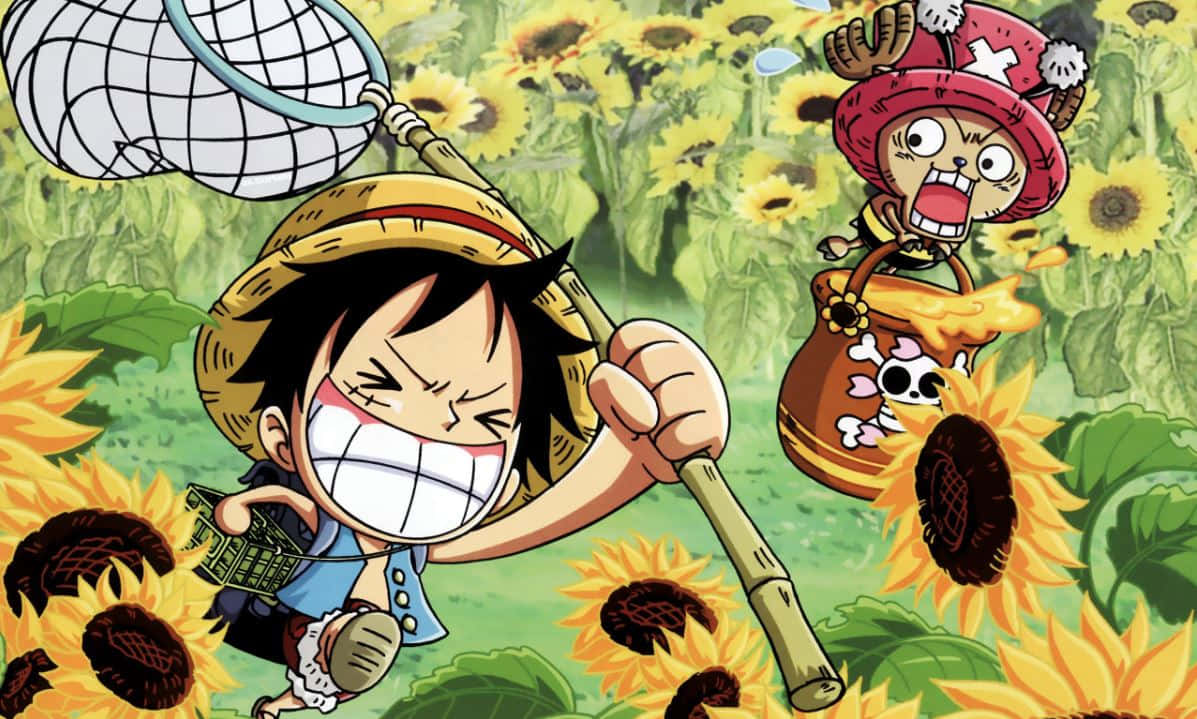One Piece Characters 桌布 壁紙 — 兩個動漫角色快樂地跑過向日葵田，一個拿著網，另一個騎著帶有骷髏標誌的木桶。