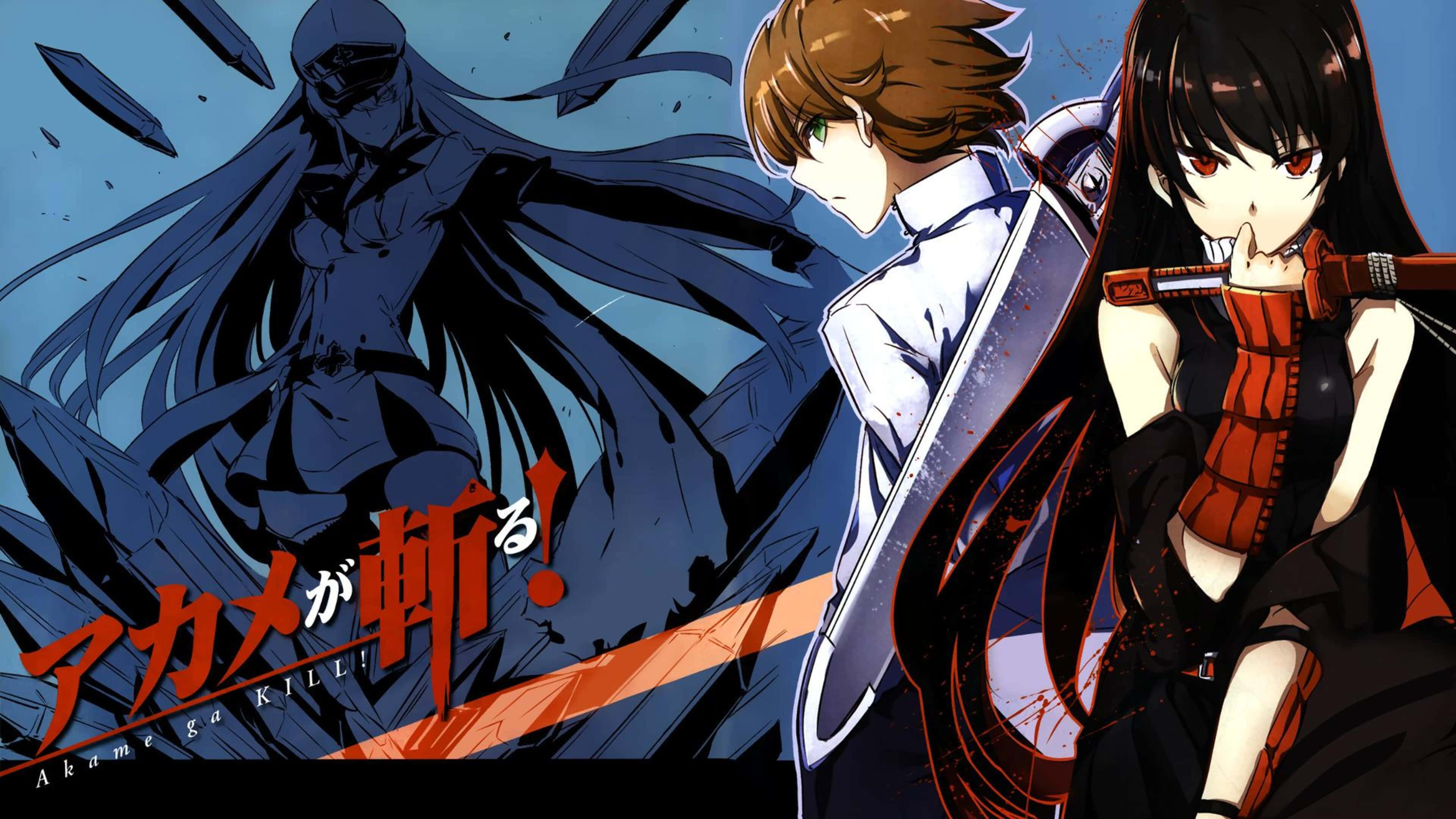 Akame Ga Kill 4K 桌布 壁紙 — 兩個動漫角色手持劍，挑釁地站在一個陰影人物面前，形成一個動態的動作場景。