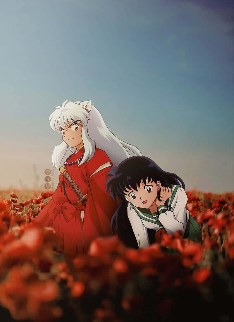 Inuyasha Phone 桌布 壁紙 — 兩個動漫角色站在一片鮮紅的罌粟花田中，背景是柔和的暮色天空。