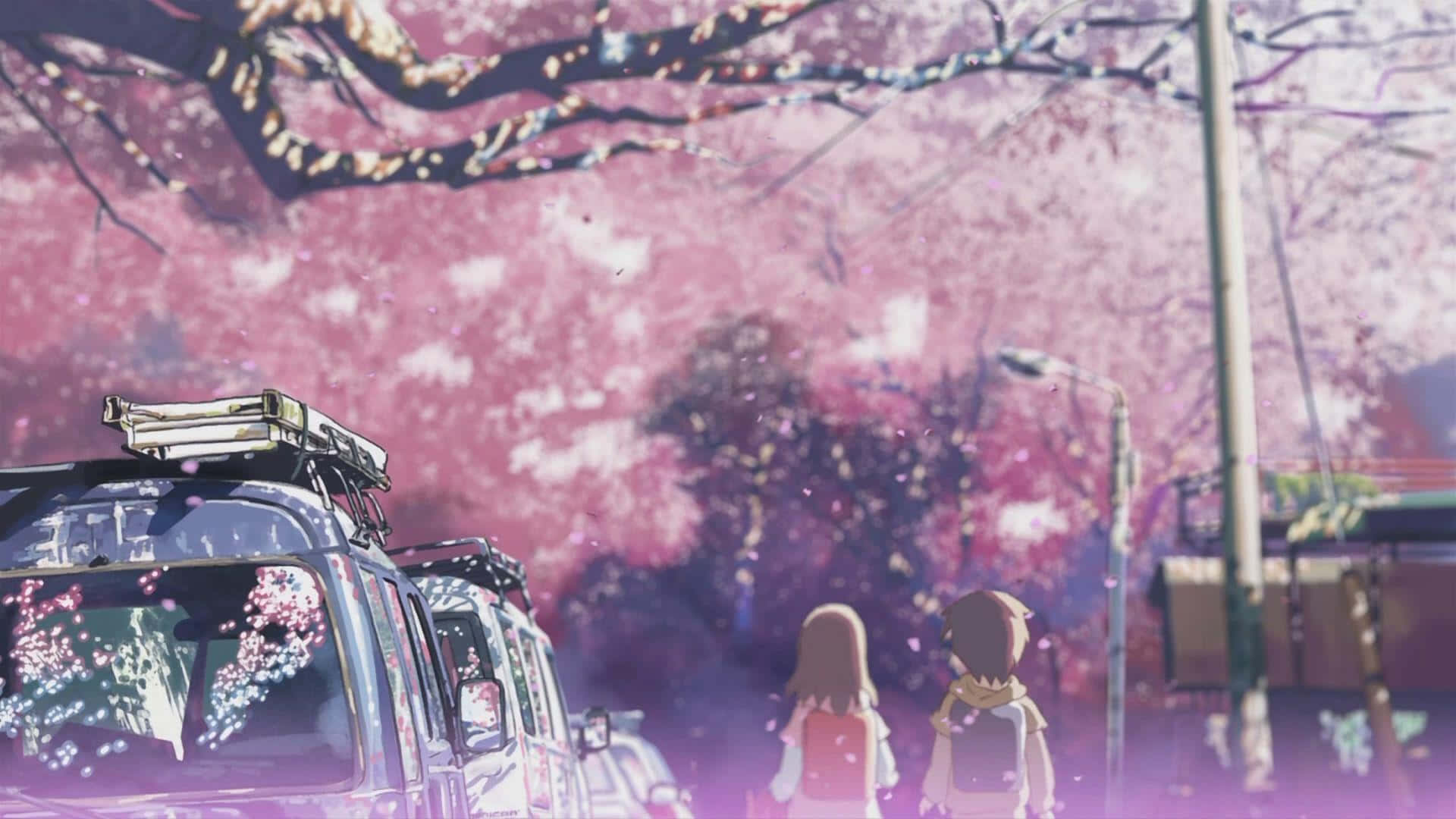 Cute Aesthetic Anime Desktop 桌布 壁紙 — 兩個動漫角色站在粉紅色櫻花樹冠下，花瓣飄過停泊的車輛。