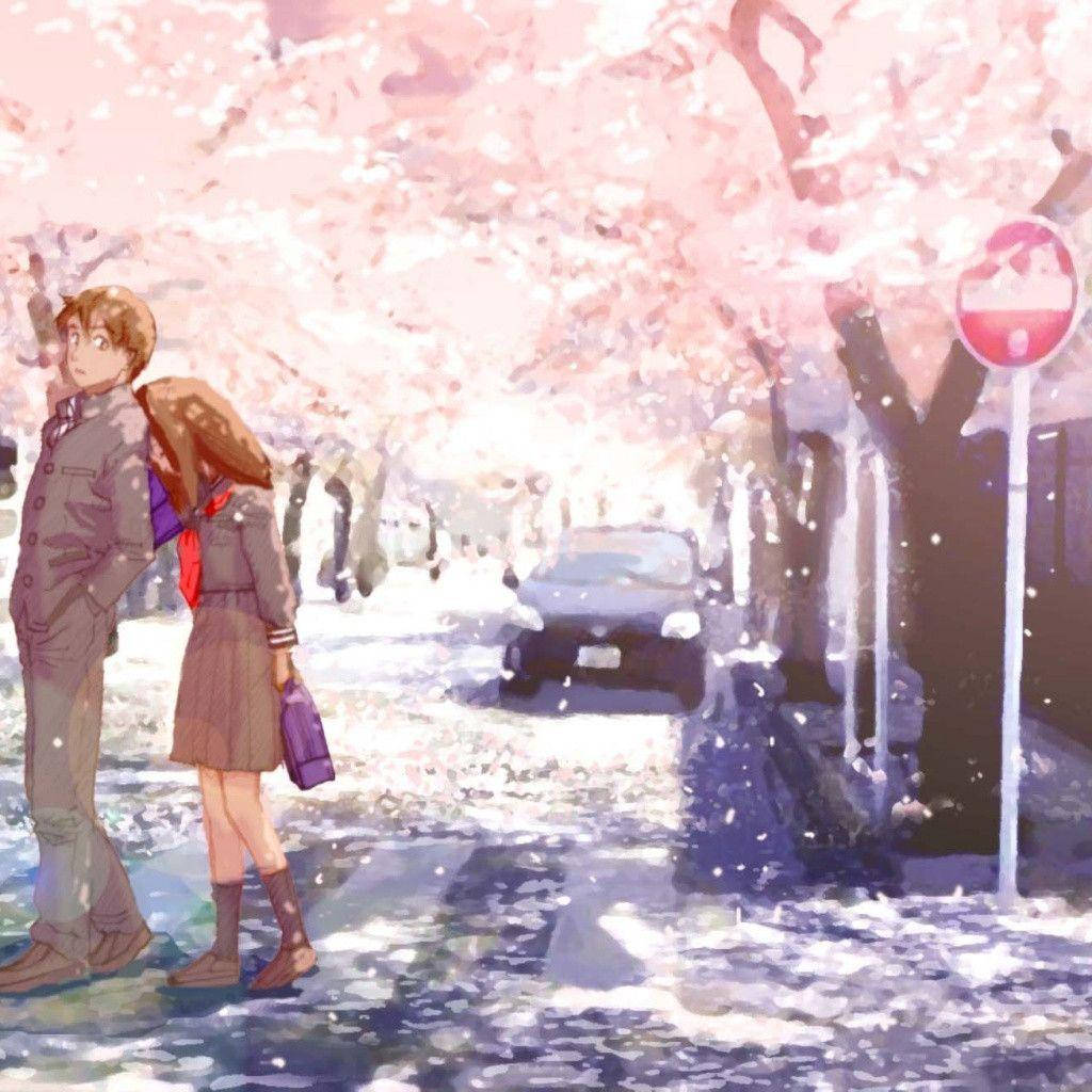 Love Anime 桌布 壁紙 — 兩個動漫青少年在陽光明媚的街道上，在飄落的粉紅色櫻花樹蔭下漫步。
