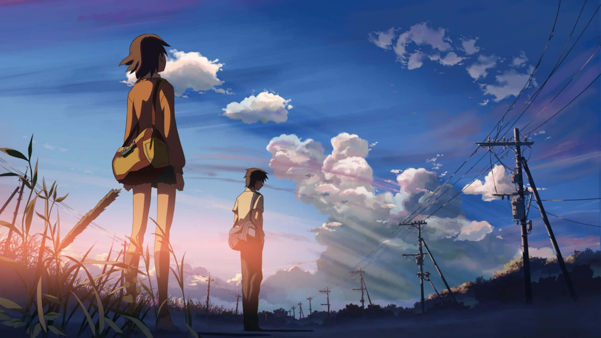 動漫女孩 桌布 壁紙 — 兩個動漫青少年站在高高的草叢中，天空下是充滿活力的日落，有蓬鬆的雲朵和延伸到遠方的電線。