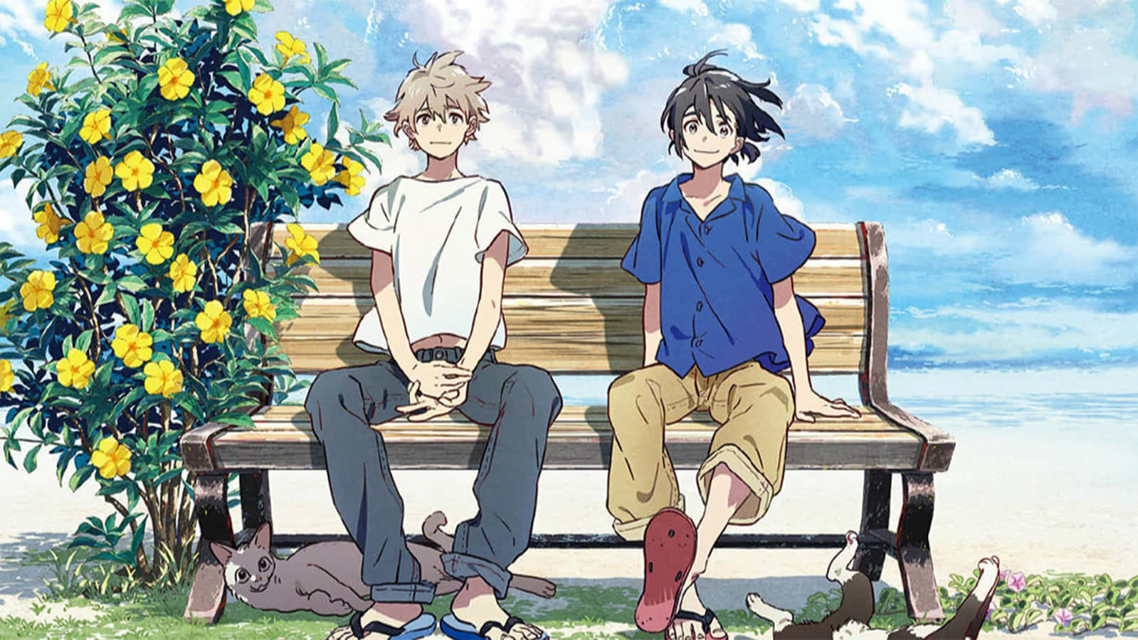 Bl Anime 桌布 壁紙 — 兩個動畫男孩坐在木長椅上，頭頂是明亮的藍天和白雲，旁邊是一叢黃花。