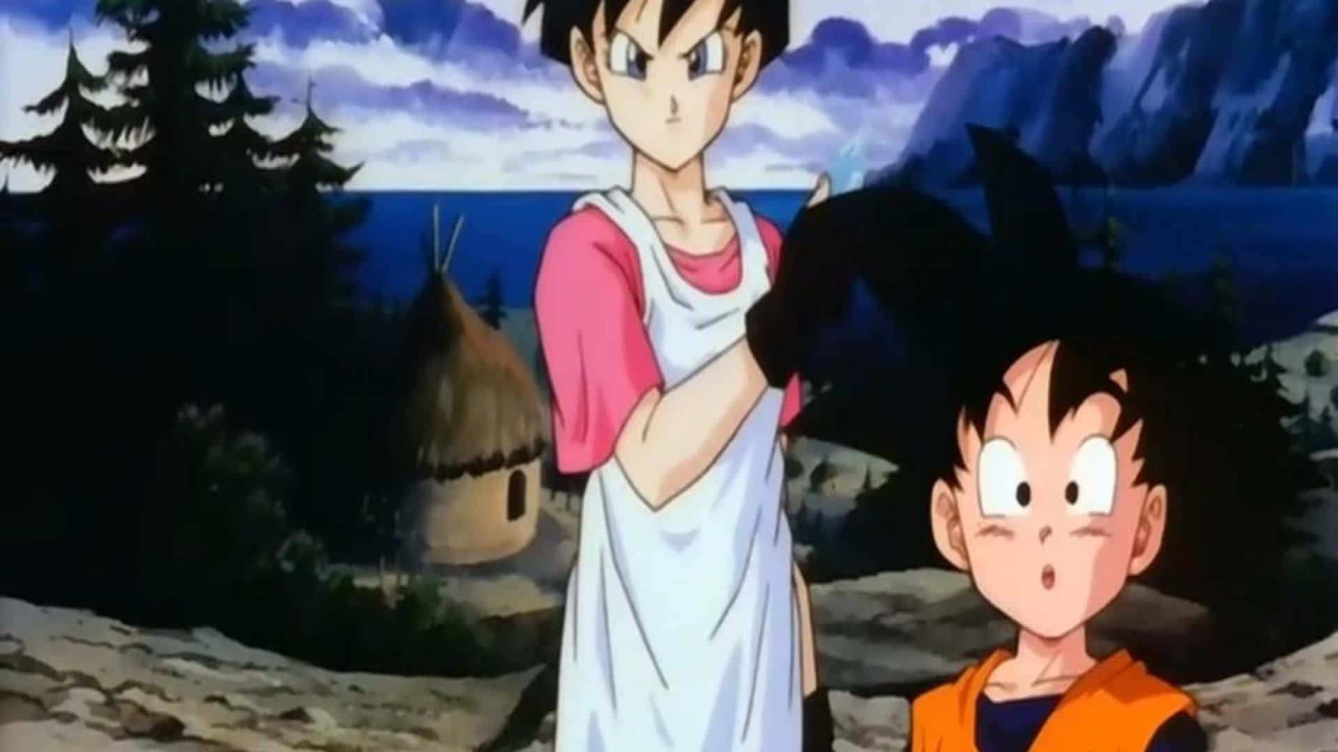 Videl 桌布 壁紙 — 兩個動畫男孩站在戶外，靠近一間茅草屋，背景有山脈和樹木，天空多雲。