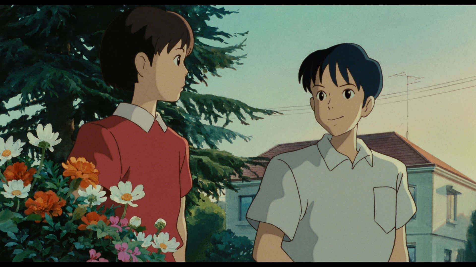 Whisper Of The Heart 桌布 壁紙 — 兩個動畫男孩站在陽光普照的花園裡，周圍有色彩繽紛的花朵，身後有一間房子。