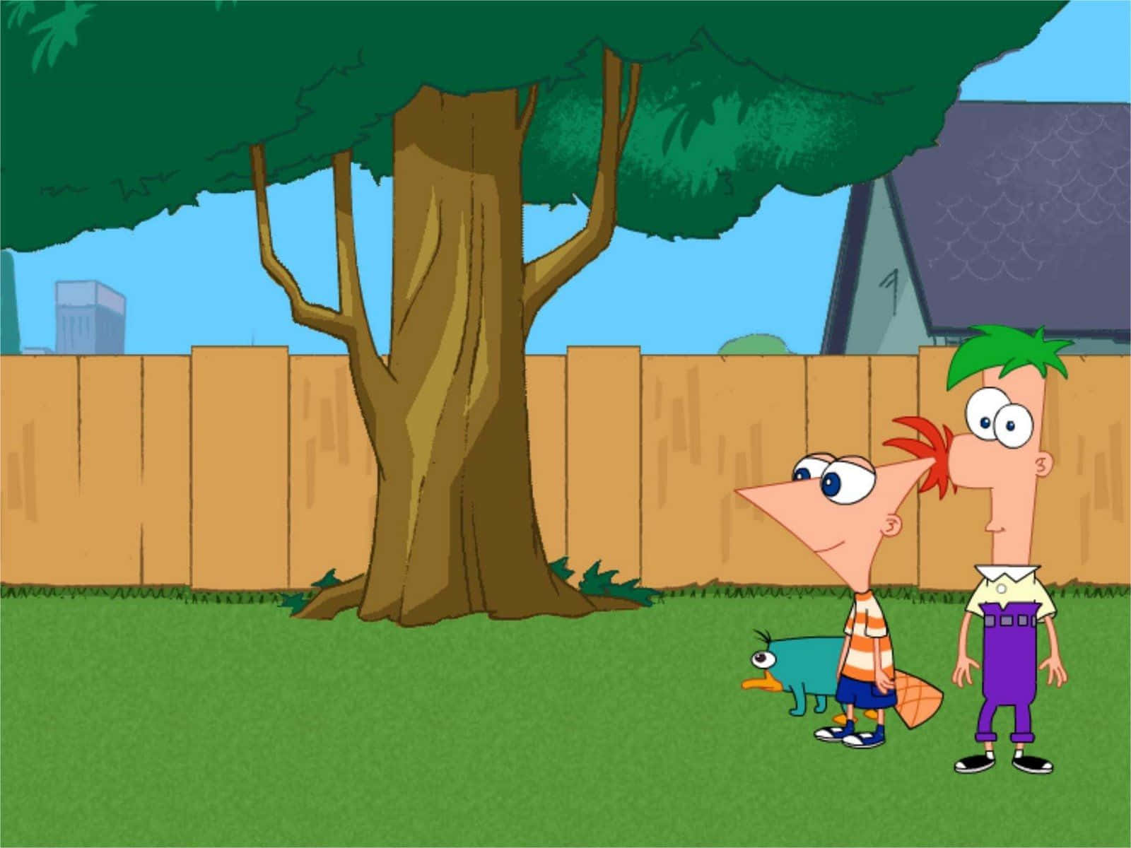 Phineas And Ferb 桌布 壁紙 — 兩個卡通男孩和一隻鴨嘴獸站在一個有草地的院子裡，院子裡有一棵大樹，背景有木柵欄和房子。