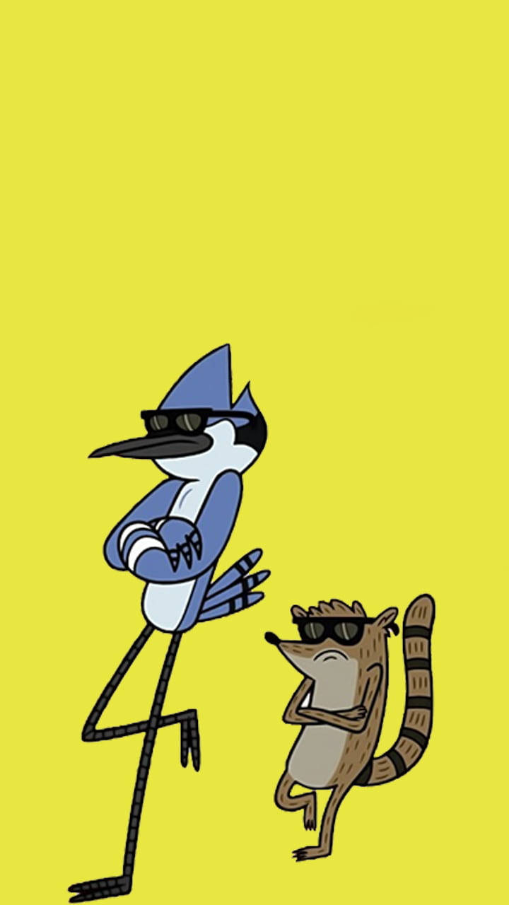 mordecai and rigby 桌布 壁紙 — 兩個卡通角色，一隻藍鳥和一隻浣熊，都戴着太陽眼鏡，自信地站在純黃色背景前。
