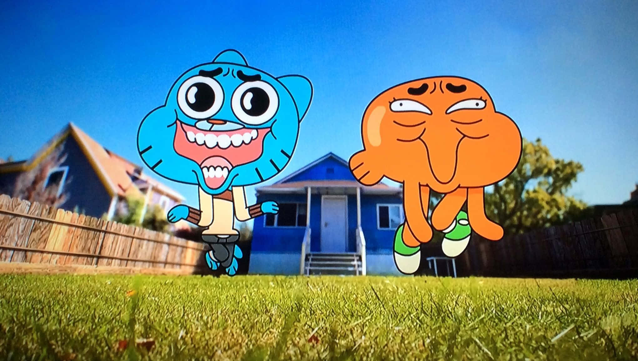 the amazing world of gumball 桌布 壁紙 — 兩個卡通角色在藍色房屋前的陽光普照郊區草坪上歡樂跳躍。