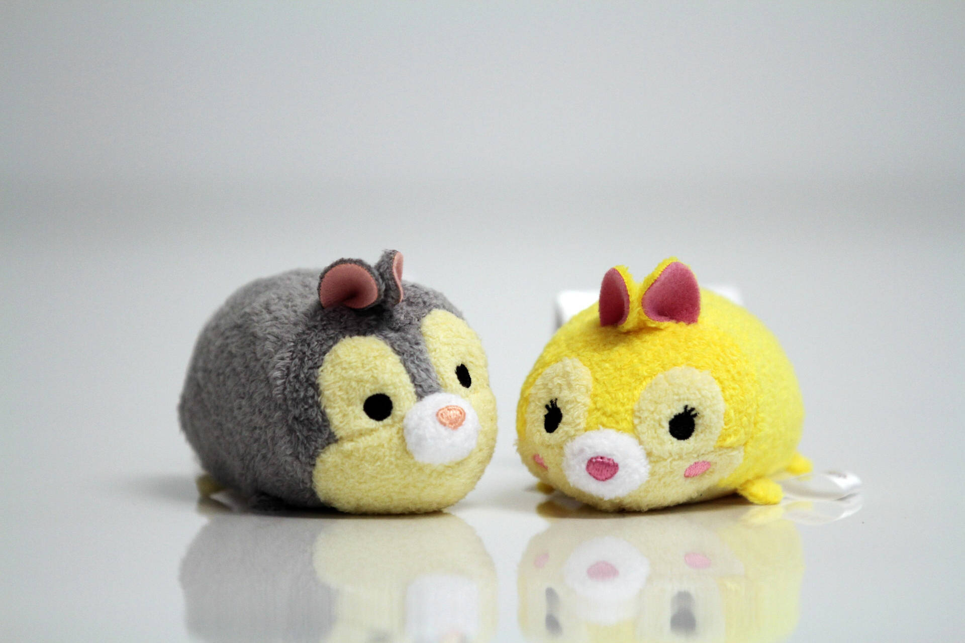兩個可愛的迪士尼Tsum Tsum絨毛玩具坐在反光的白色表面上。 — Tsum tsum 壁紙