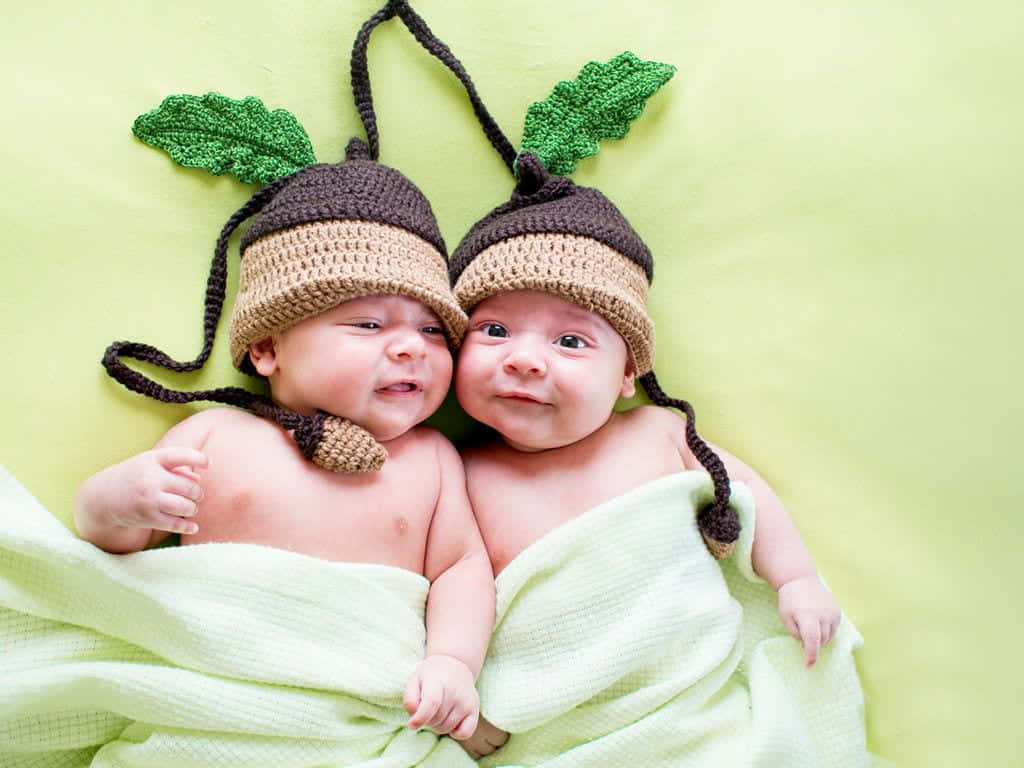 Cute Babies 桌布 壁紙 — 兩個可愛的新生雙胞胎戴著橡子主題的針織帽，裹在柔軟的綠色毯子裡，背景與之相配。