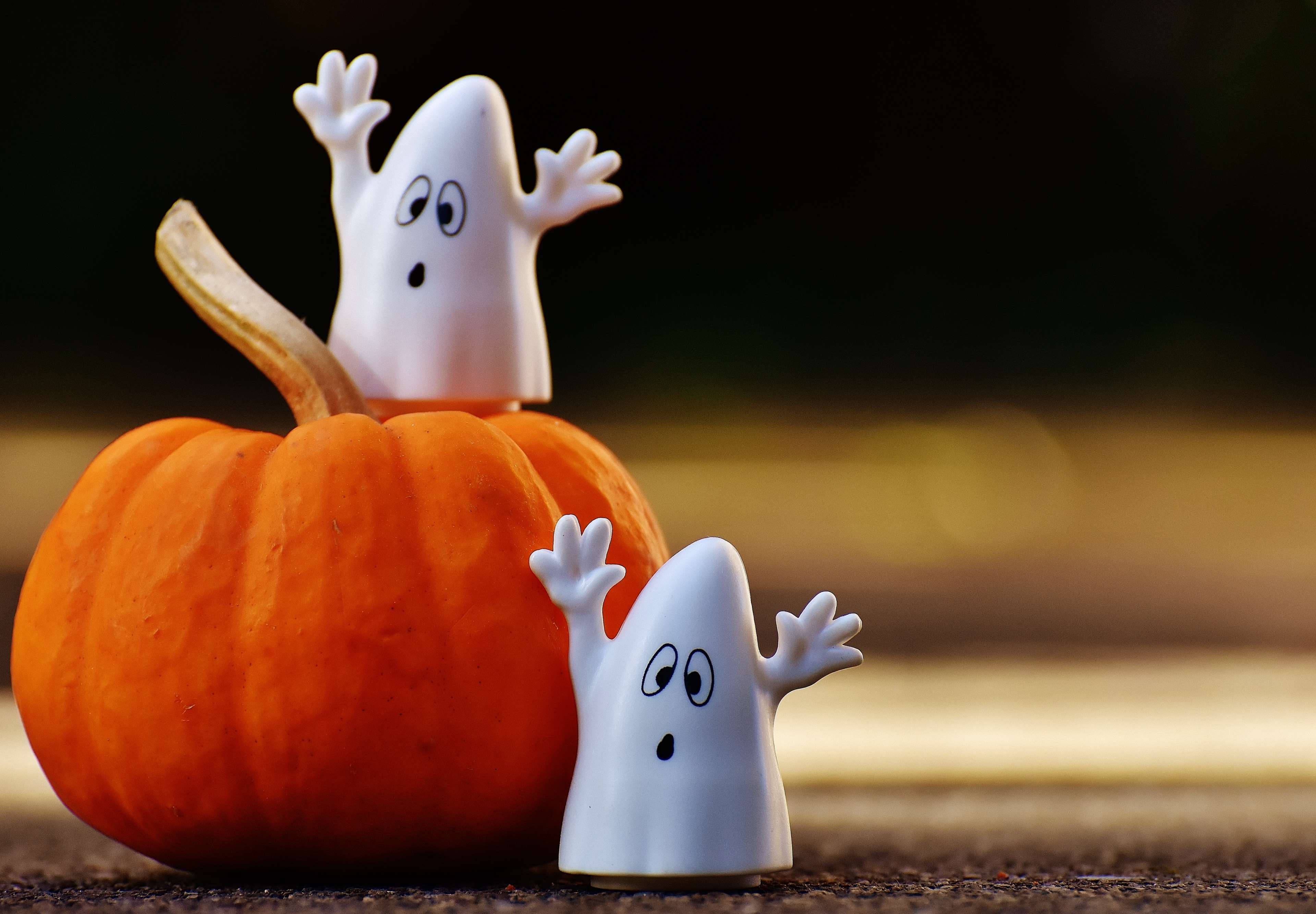 Cute October 桌布 壁紙 — 兩個可愛的白色鬼魂公仔從一個鮮橙色南瓜後面探出頭來，背景是模糊的金色。