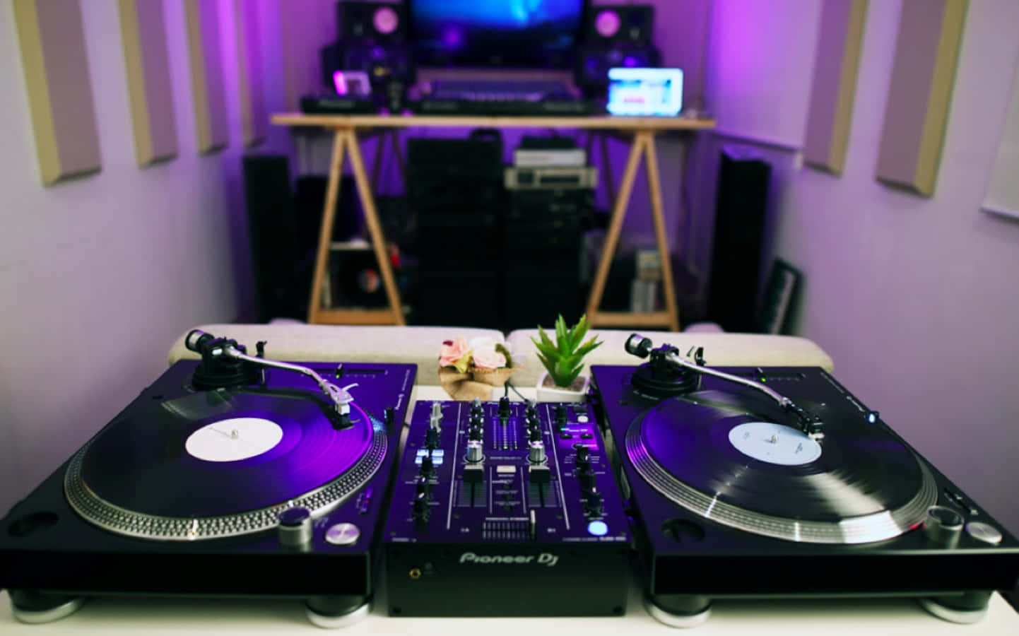 turntable 桌布 壁紙 — 兩個唱盤和混音器在紫色燈光下，位於DJ台，配有音響設備和小植物。