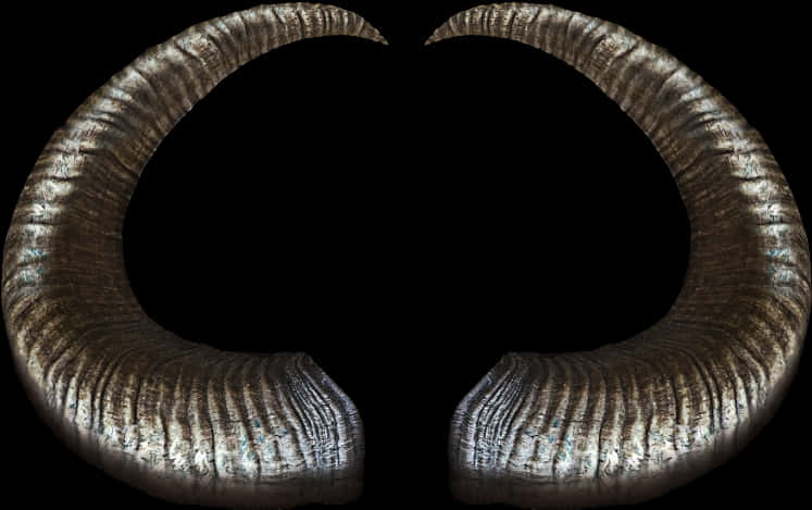 Devil Horn 桌布 壁紙 — 兩個大型彎曲公羊角，帶有紋理脊線和金屬光澤，背景為黑色。