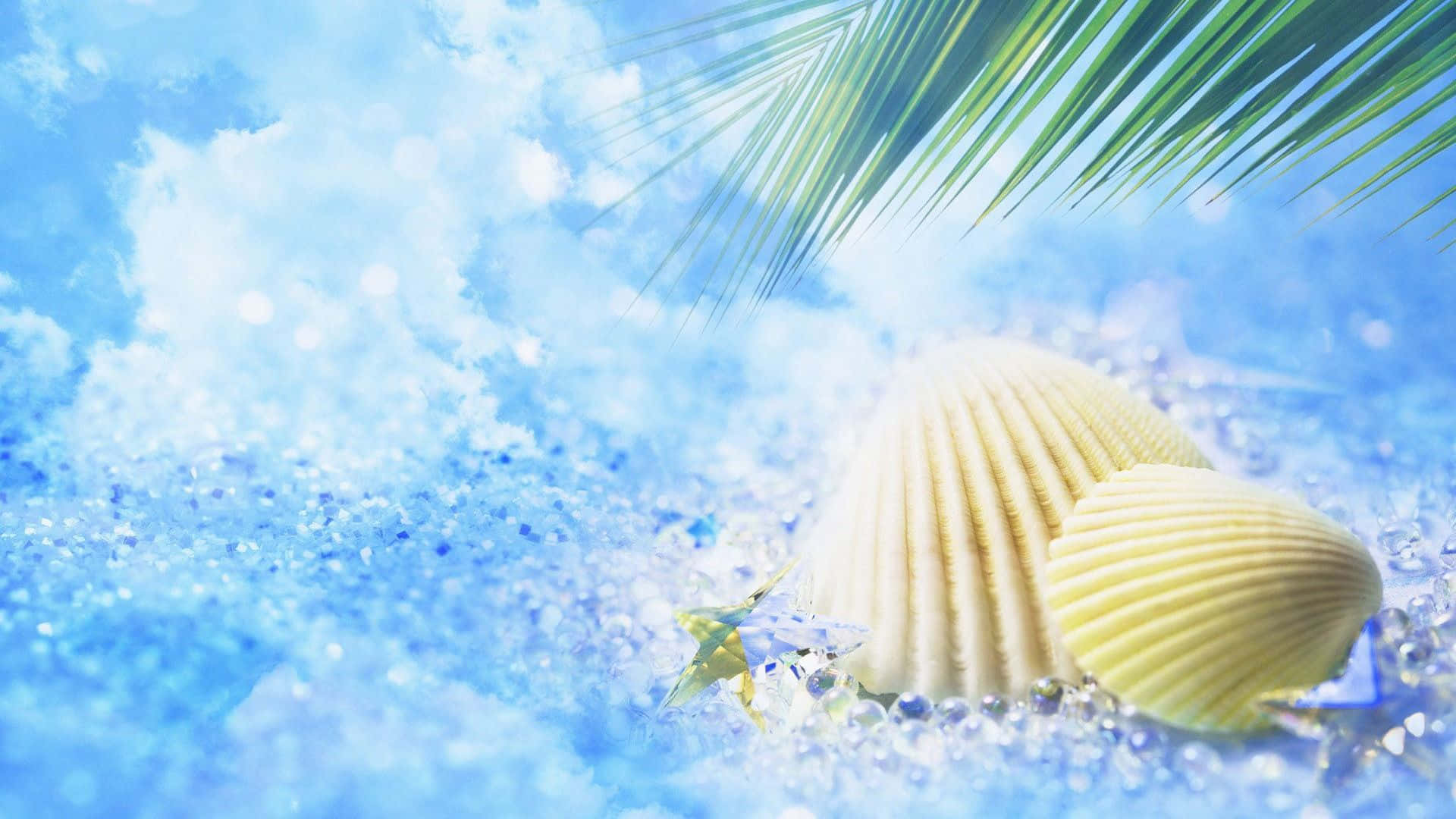 Water Splash 桌布 壁紙 — 兩個奶油色貝殼和一隻海星在閃爍的藍色沙子上，棕櫚葉下，襯著明亮的天空。