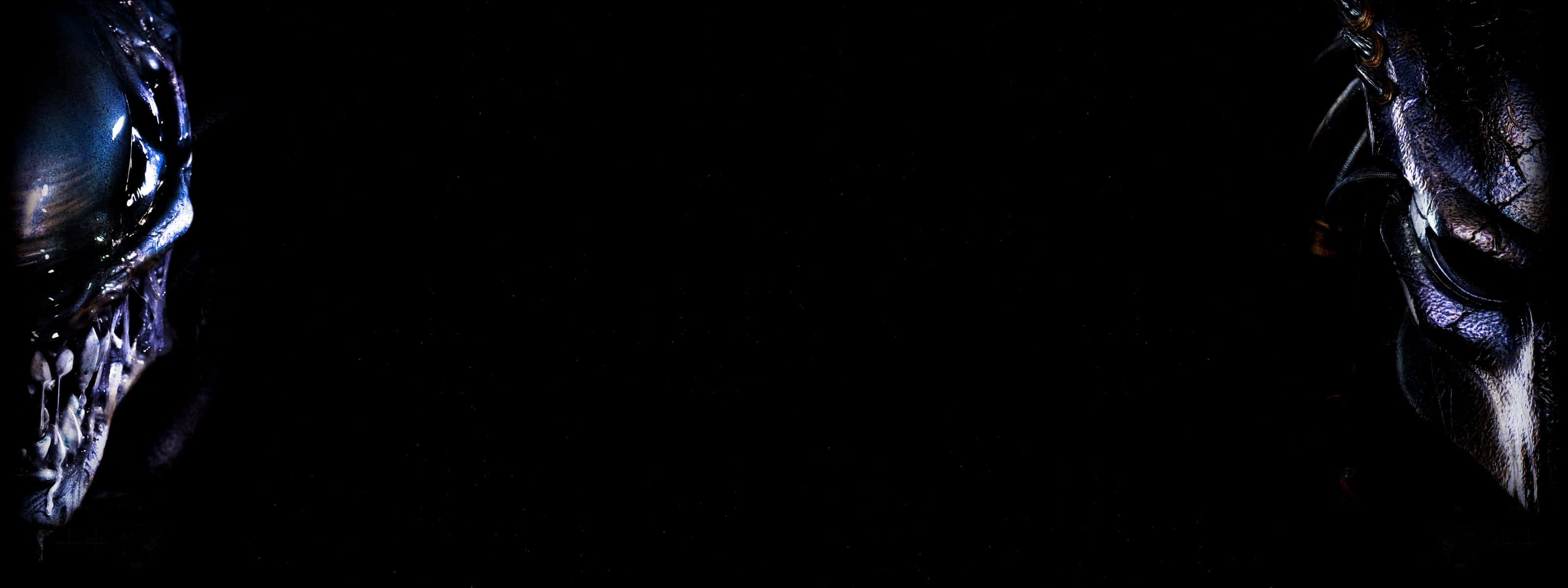 桌布 壁紙 — 兩個威脅性的外星人頭骨在黑暗虛空中面對面，帶有發光的藍色亮點。