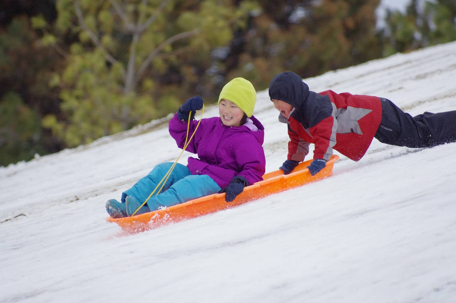 雪 桌布 壁紙 — 兩個孩子笑著從雪坡上滑下，一個戴著亮黃色帽子和紫色外套，另一個穿著紅黑裝備。